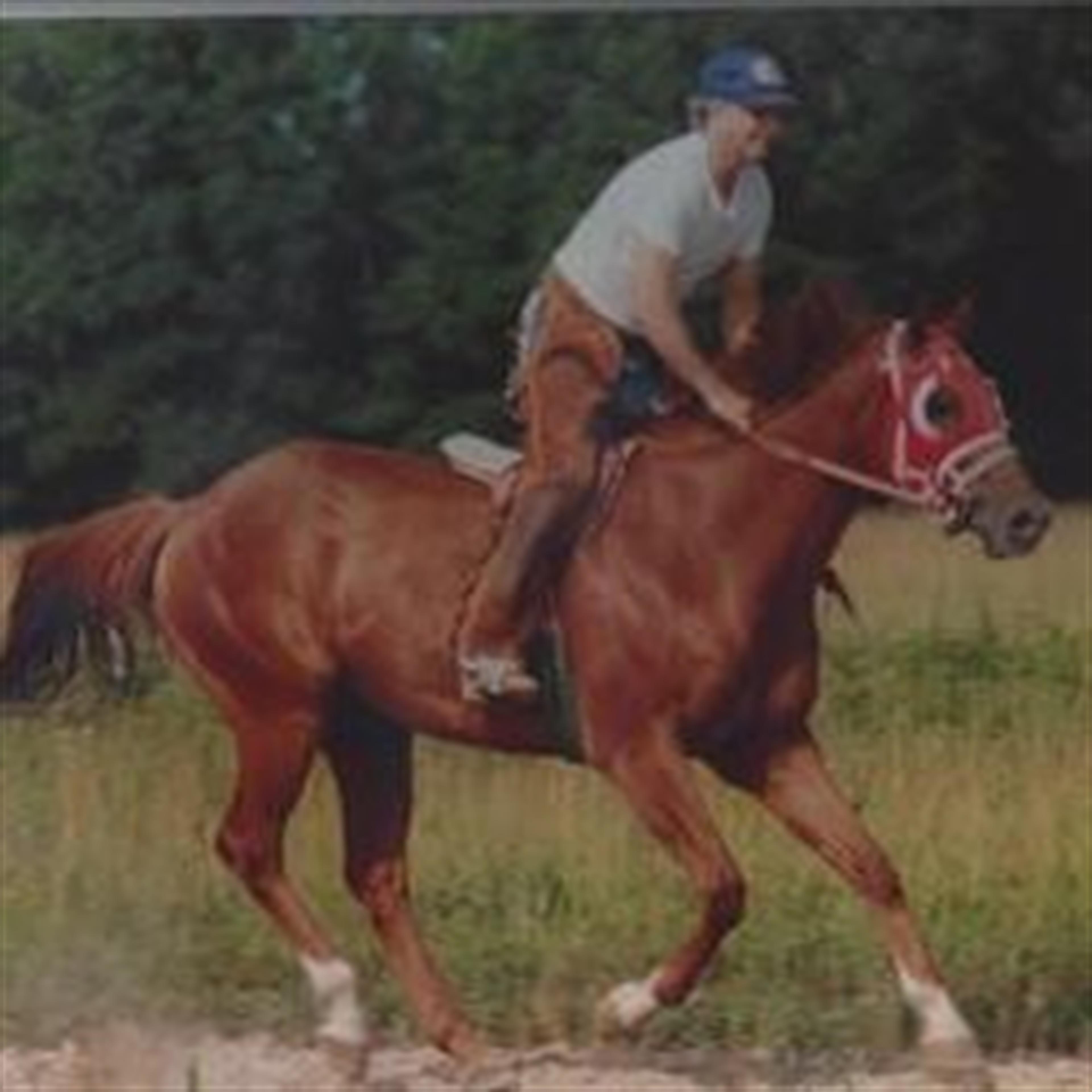 Norman H. Austin (Camdenton)