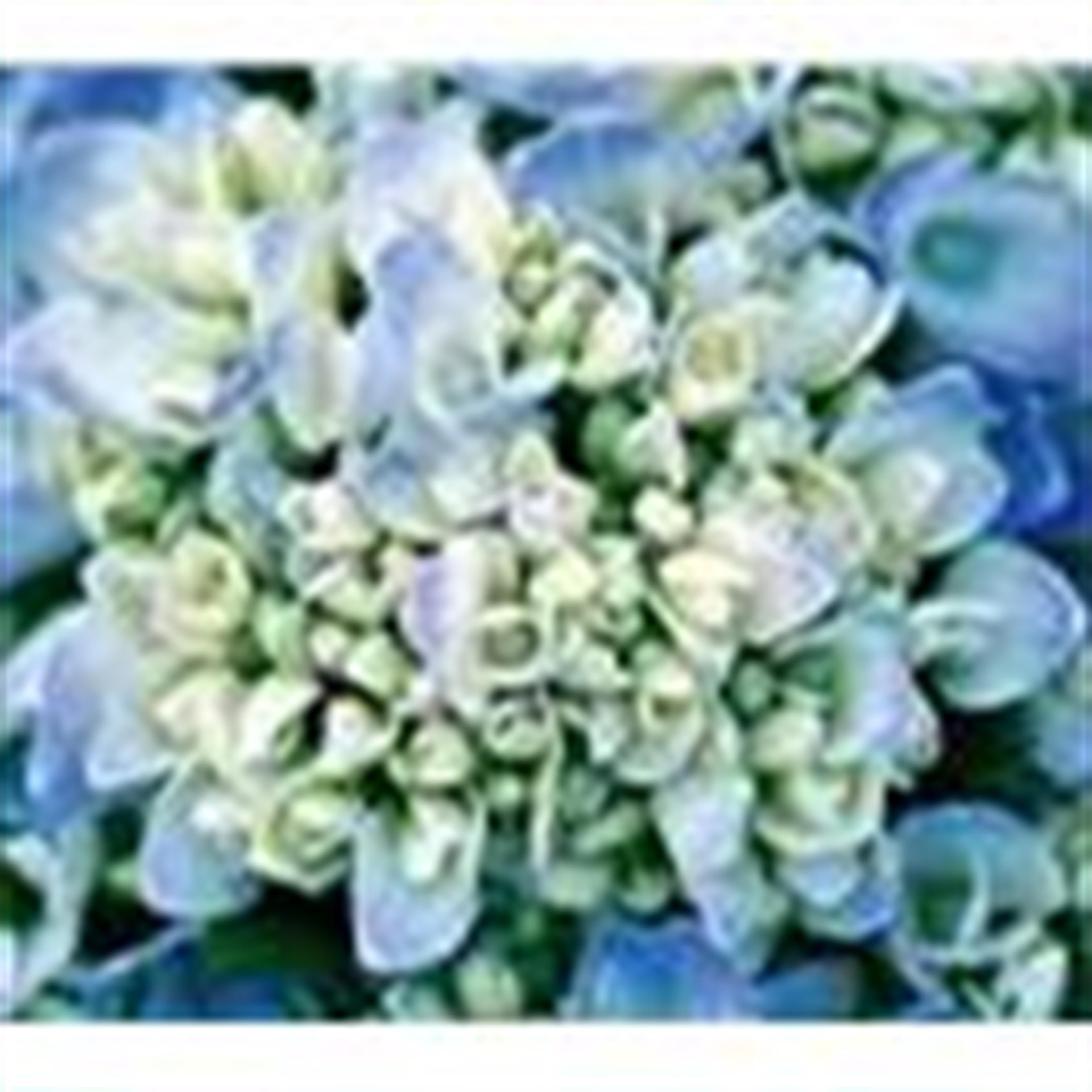 Mrs. Martha Elizabeth Gilliland