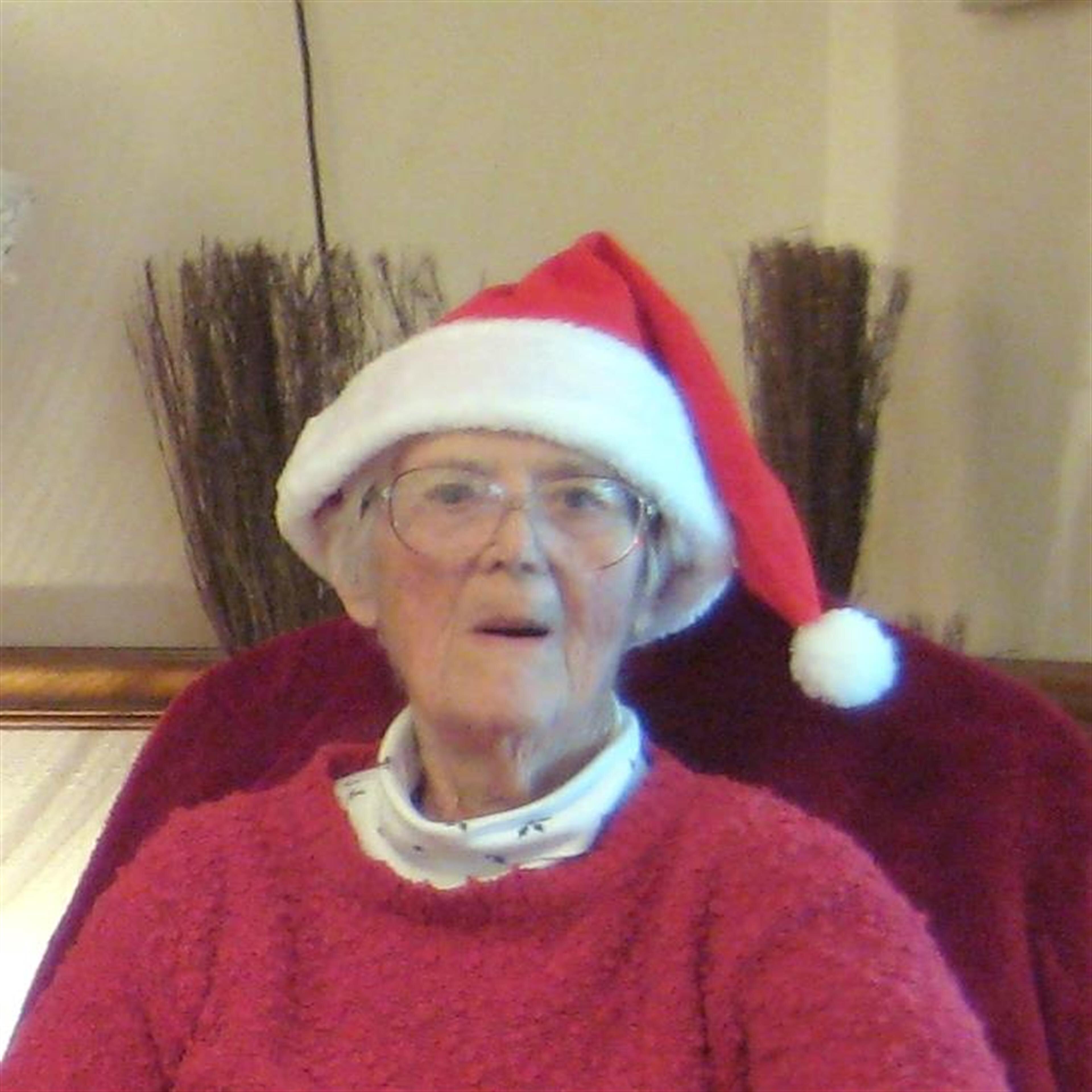 Alyce Leland Brink