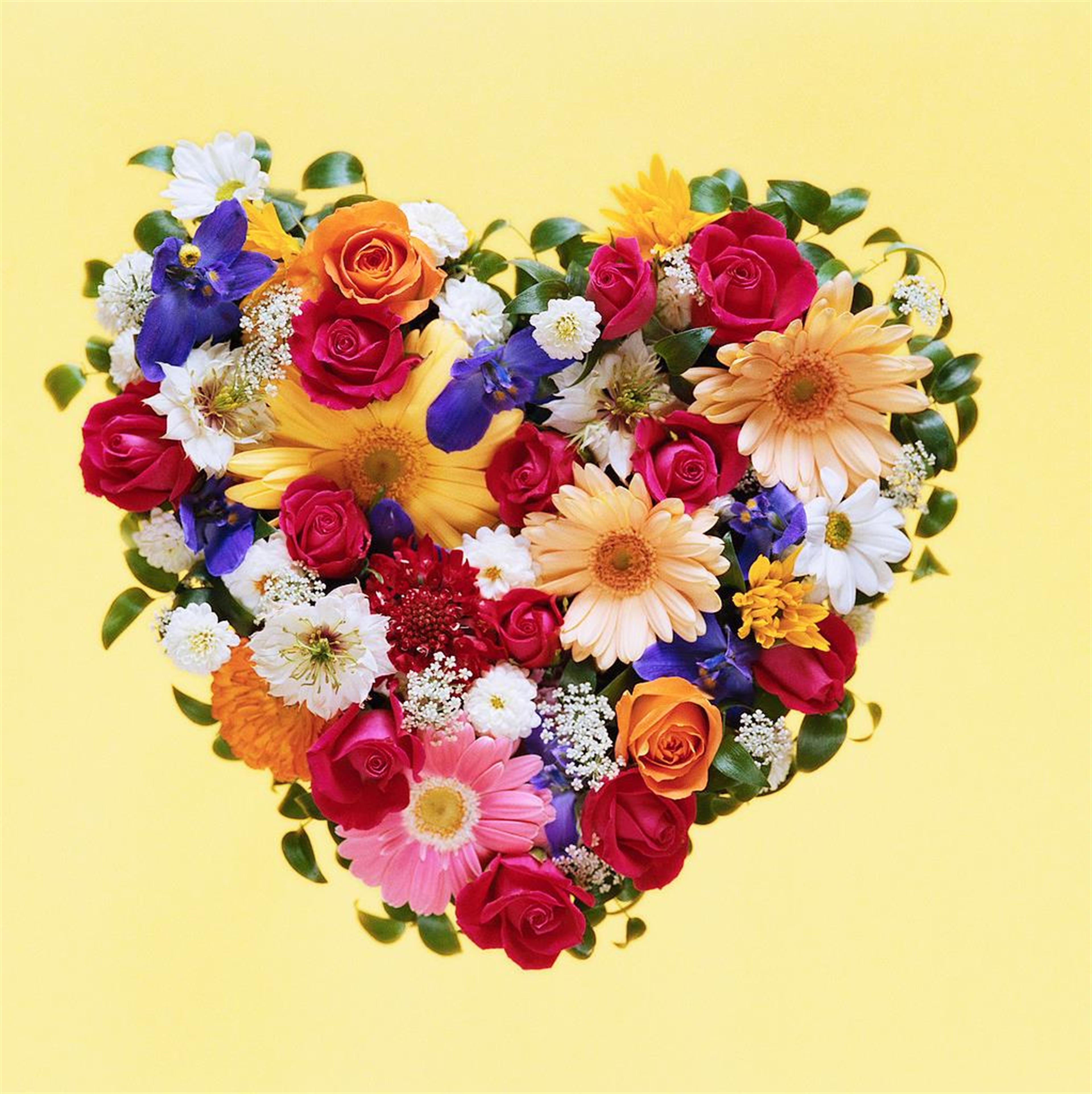 Assunta "Sue" Filomena Marco