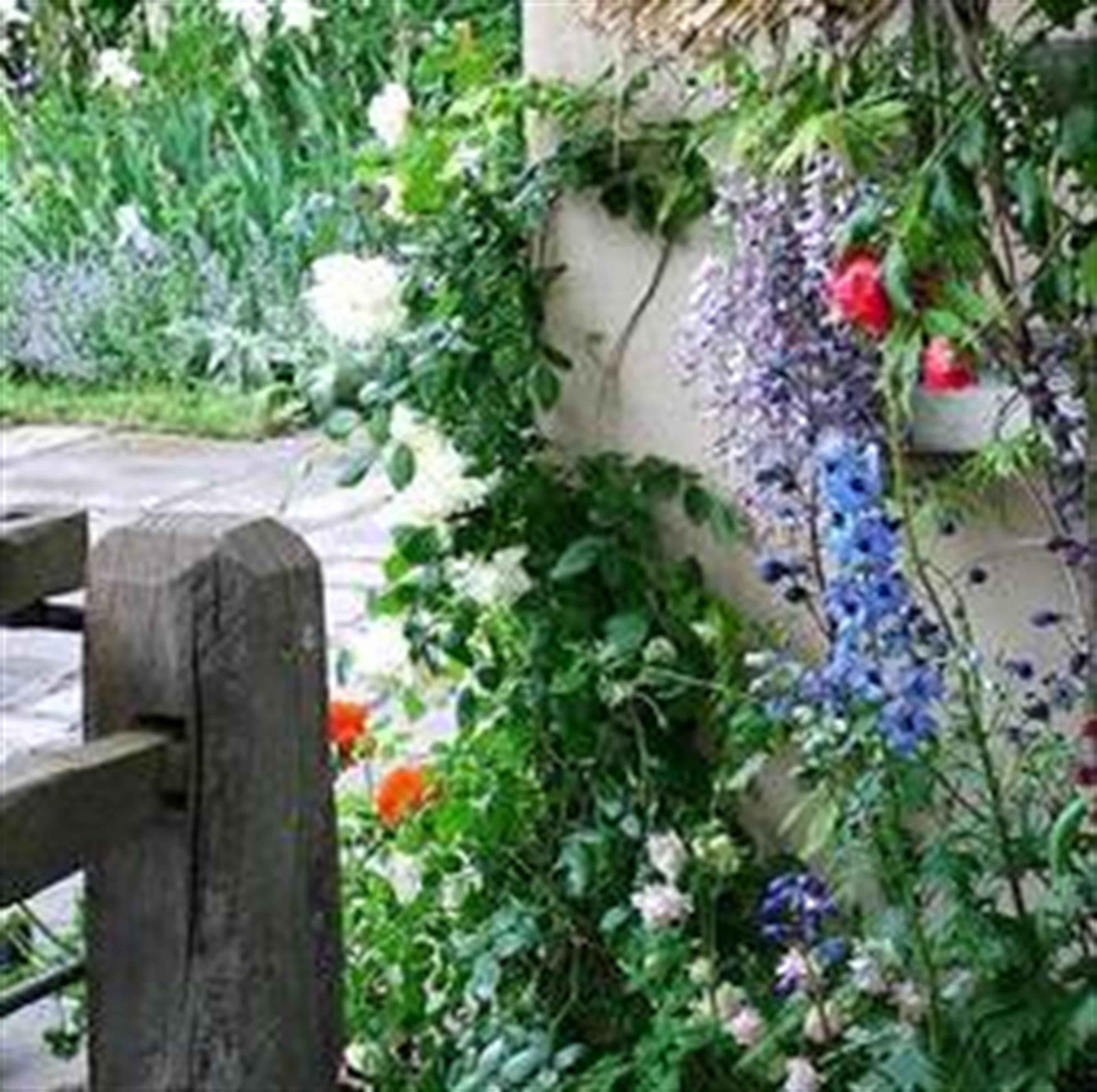 Trilby Looney (Camdenton)