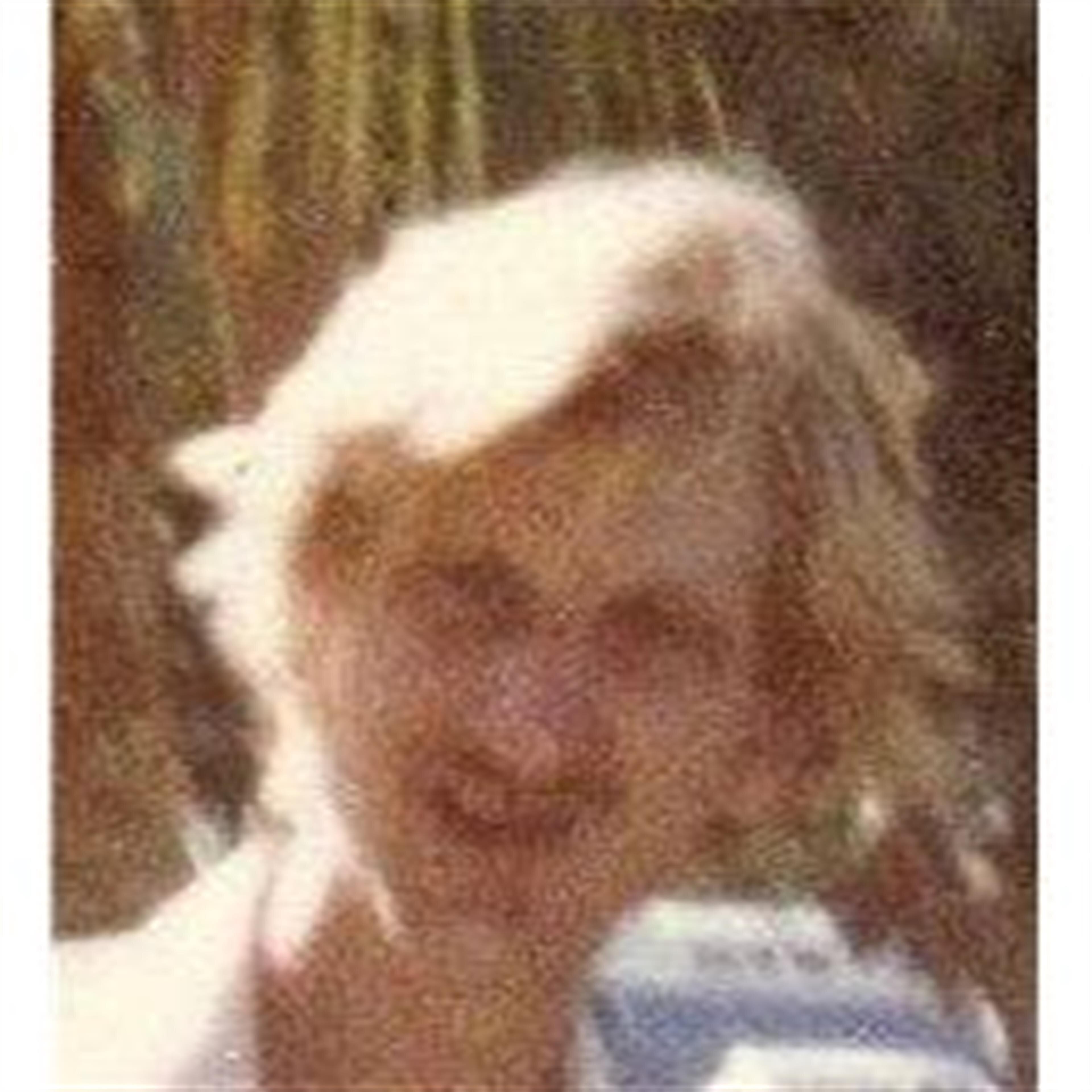Gary L. Borland