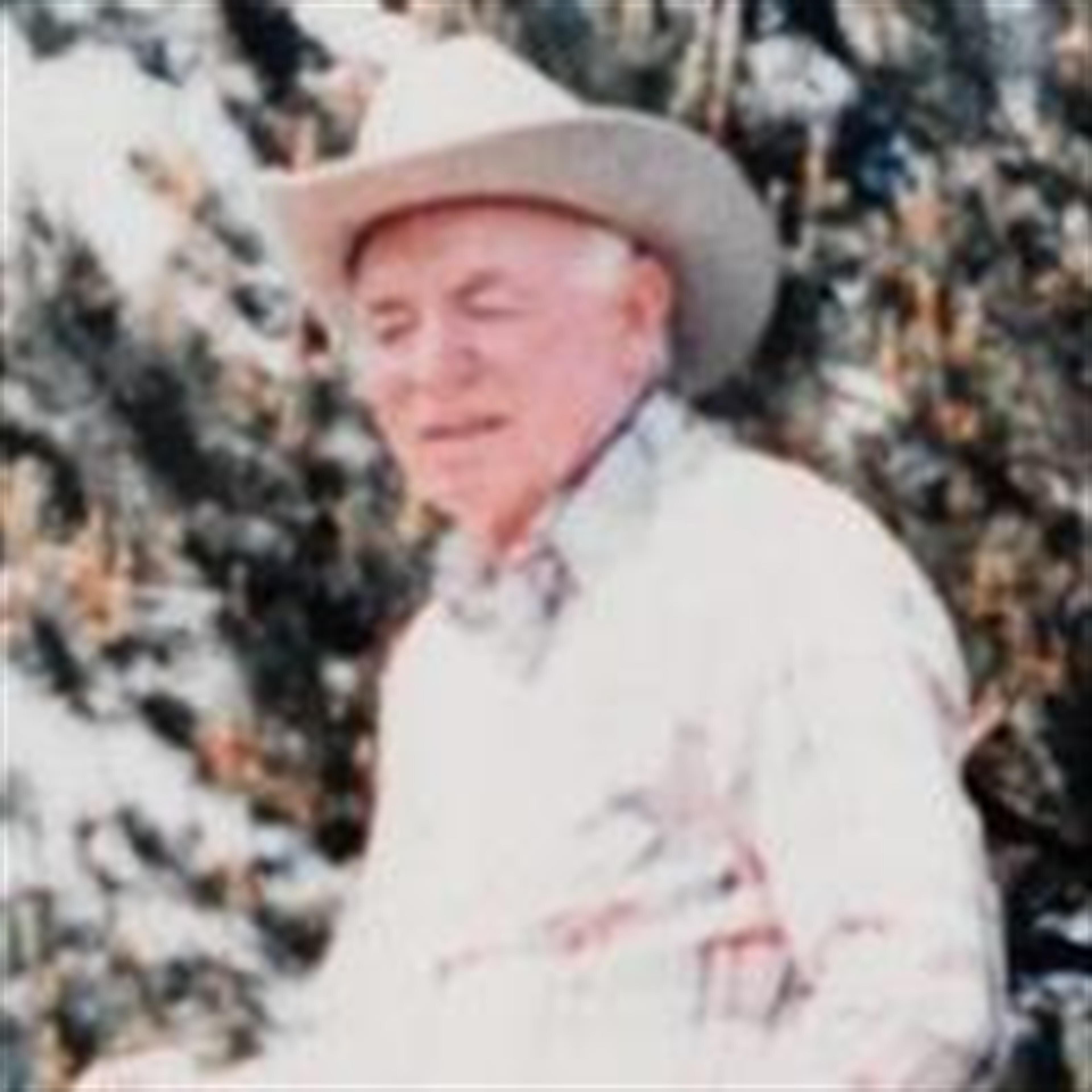 Harvey Satterfield (Bolivar)