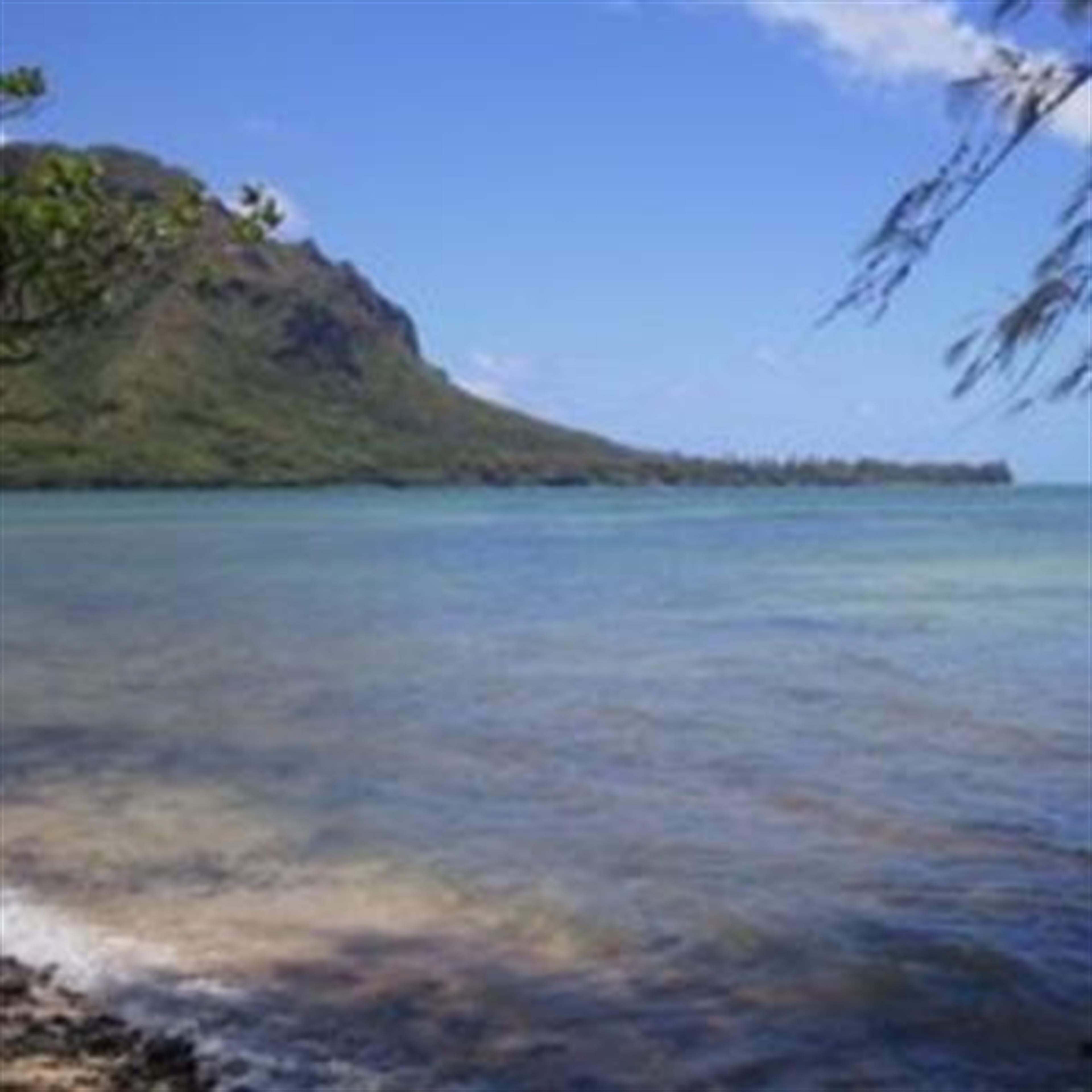 Martin  Kealii Okamalu Kaninau II