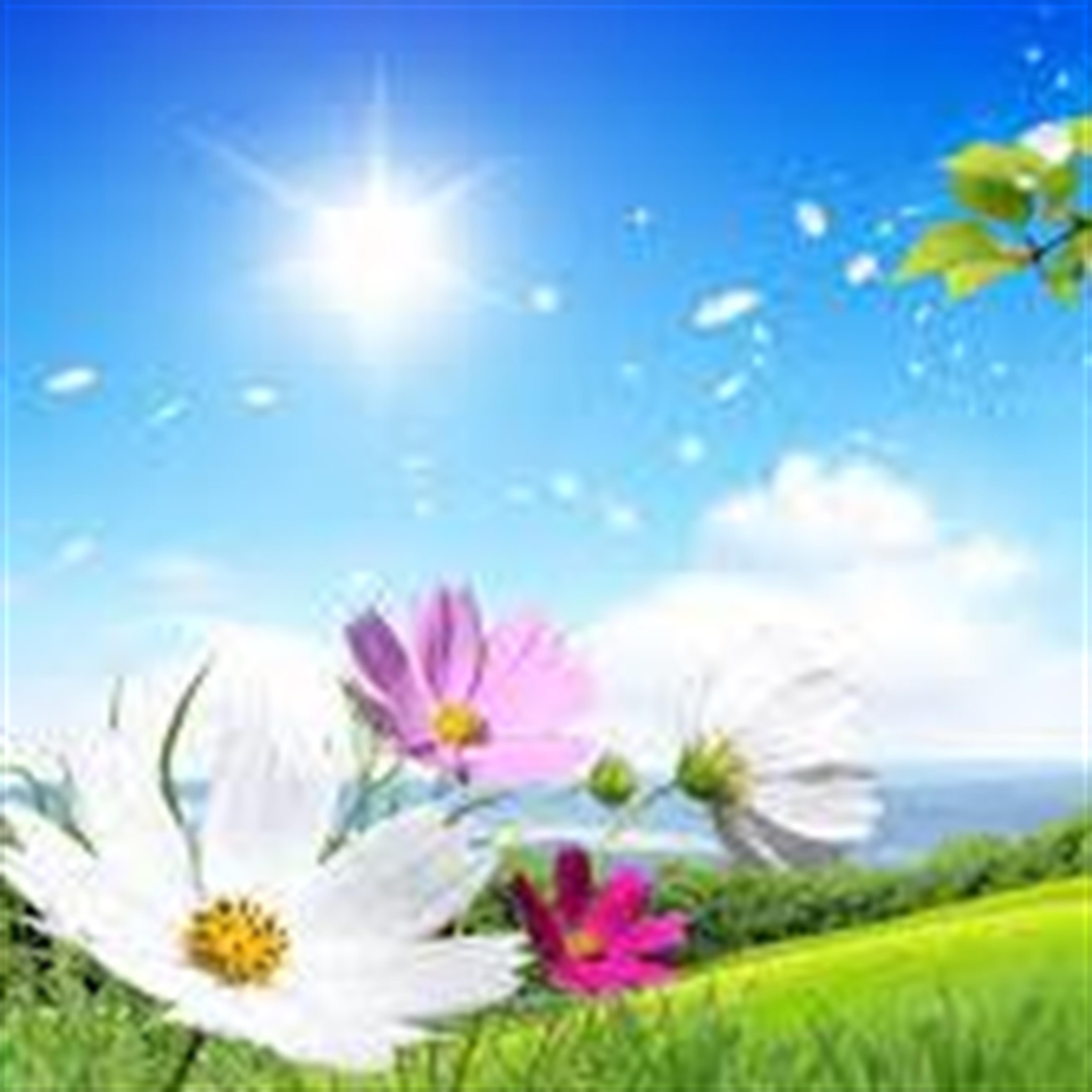 Patricia Ann McGrew's obituary picture