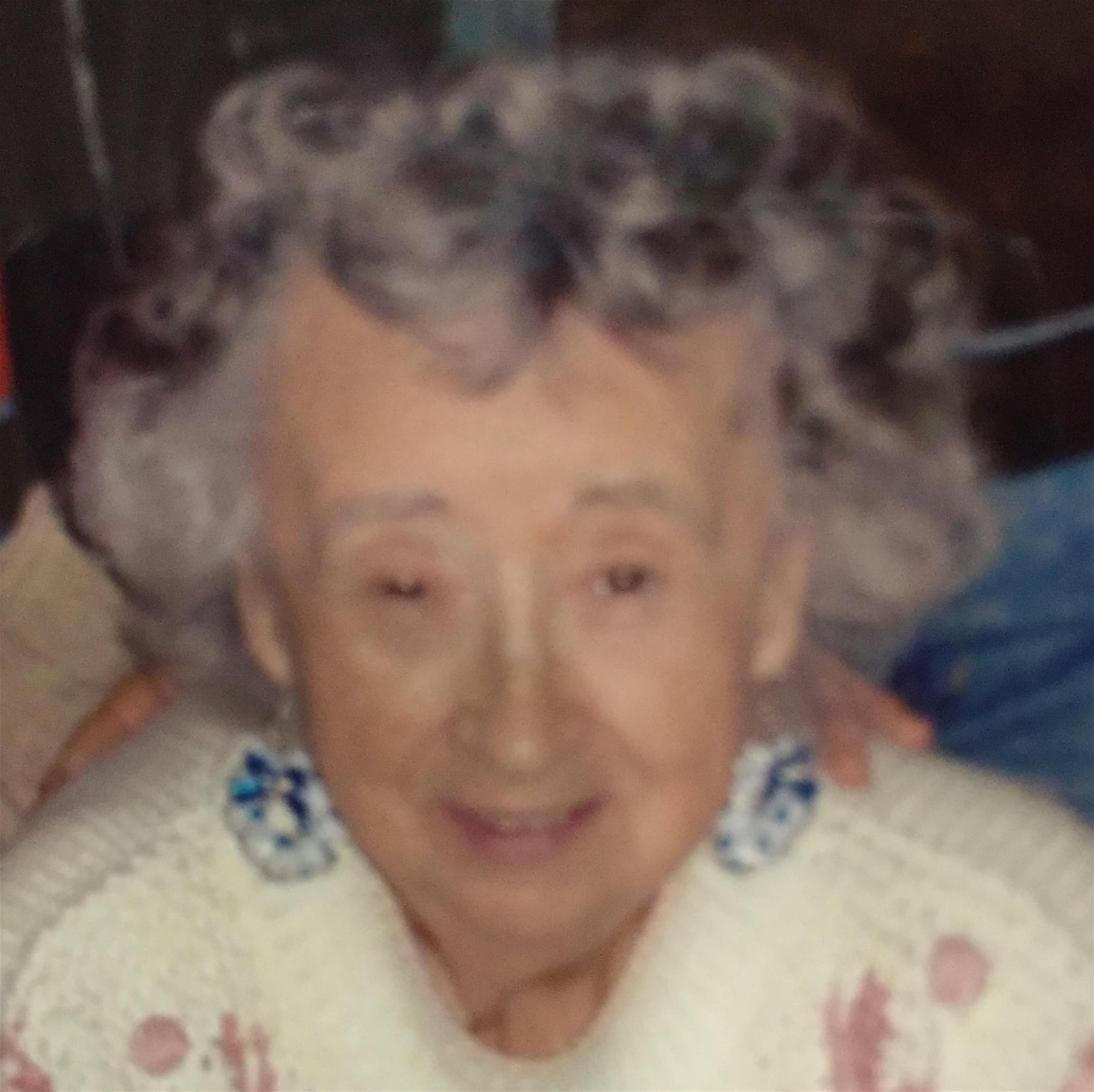 Hildegard Klimek