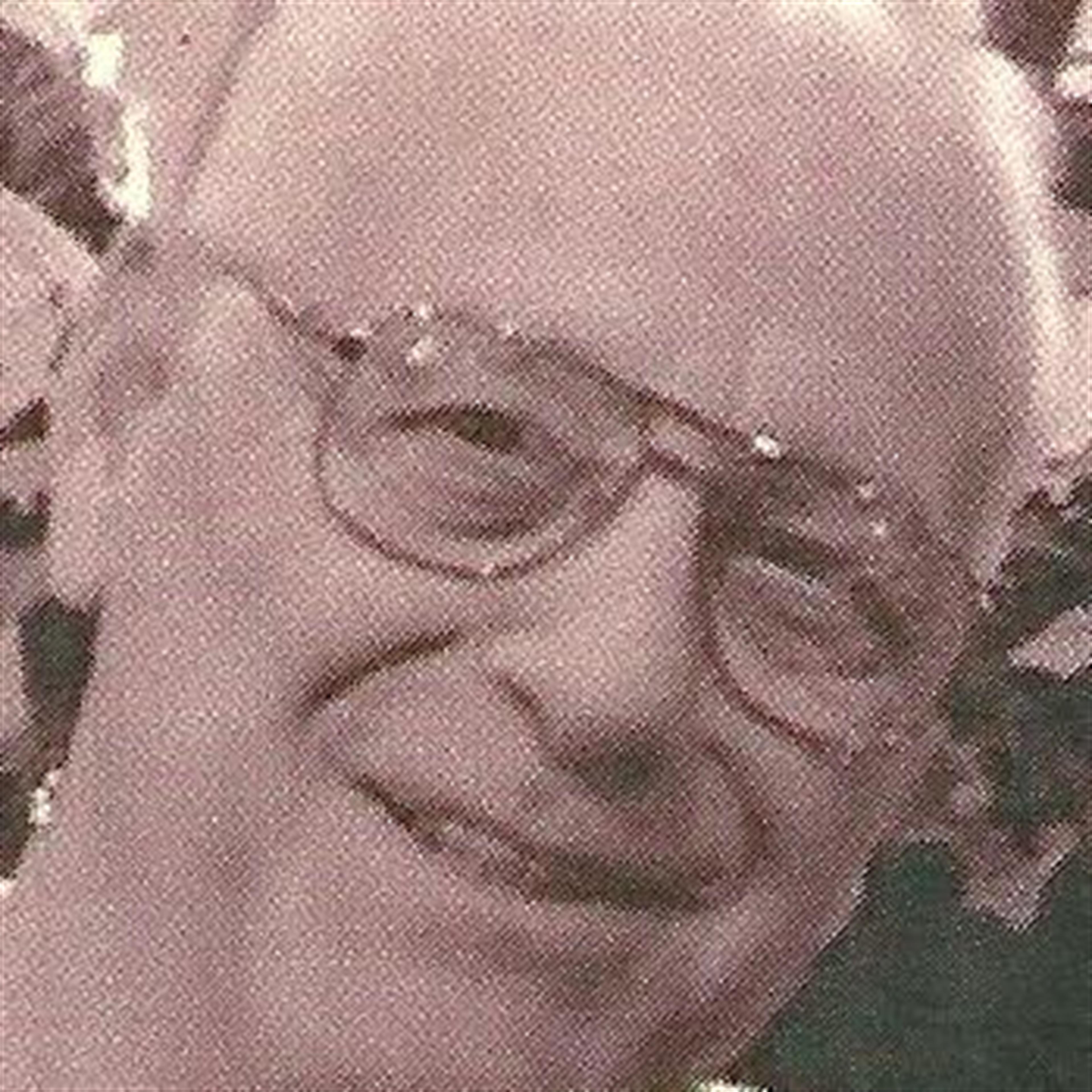 Charles "Chuck" Gambino