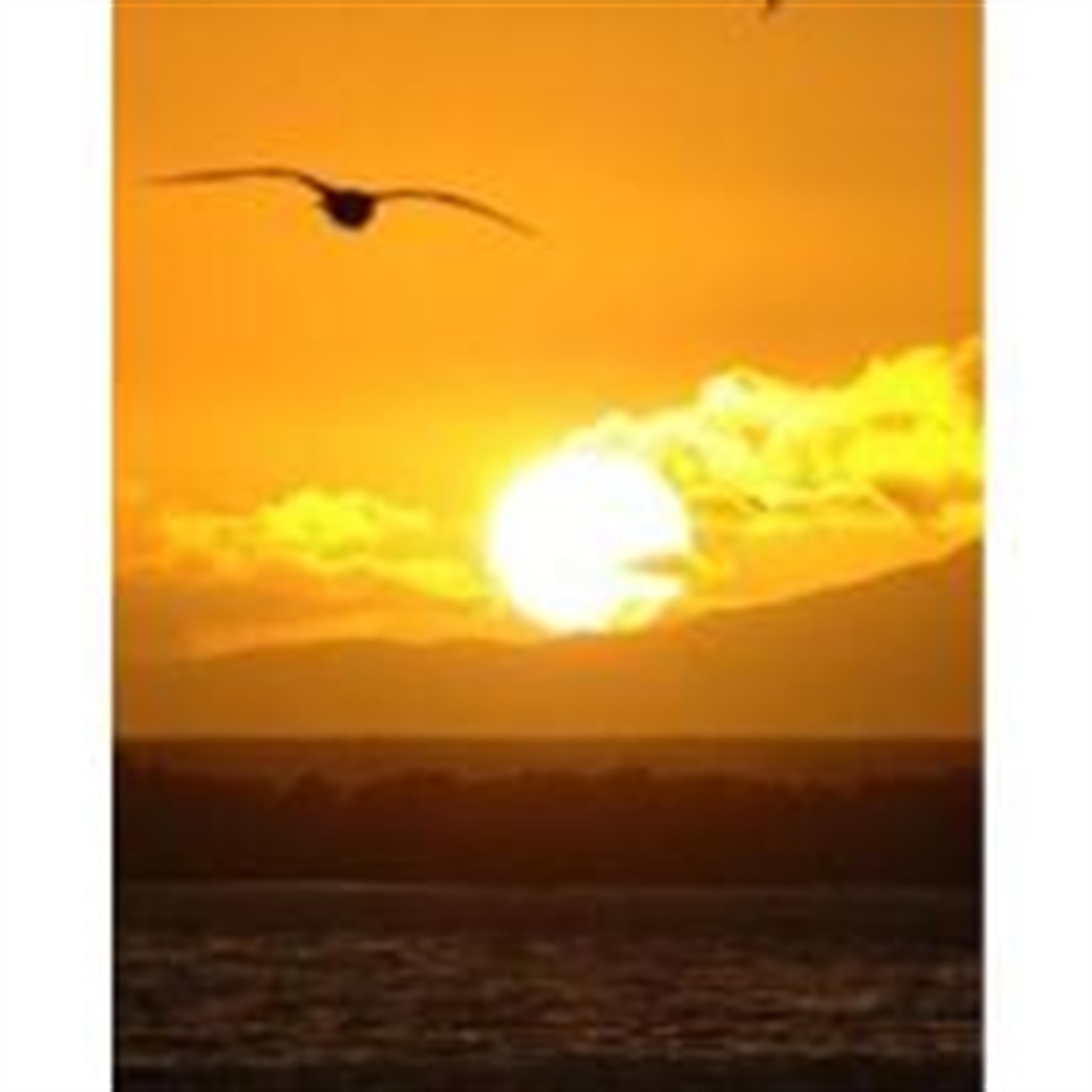 David Moises Jimenez MD's obituary picture