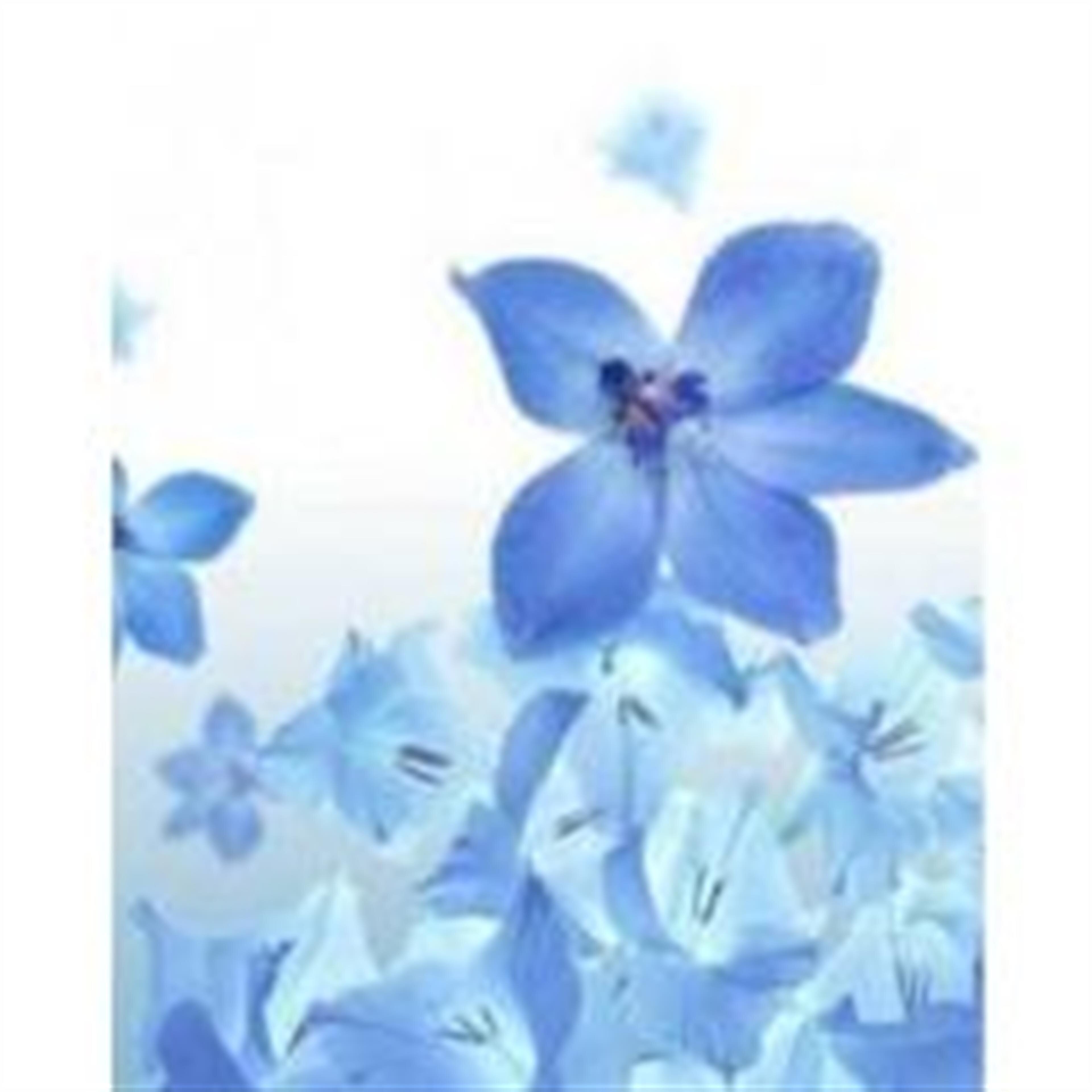 Dorothy H. Jarboe