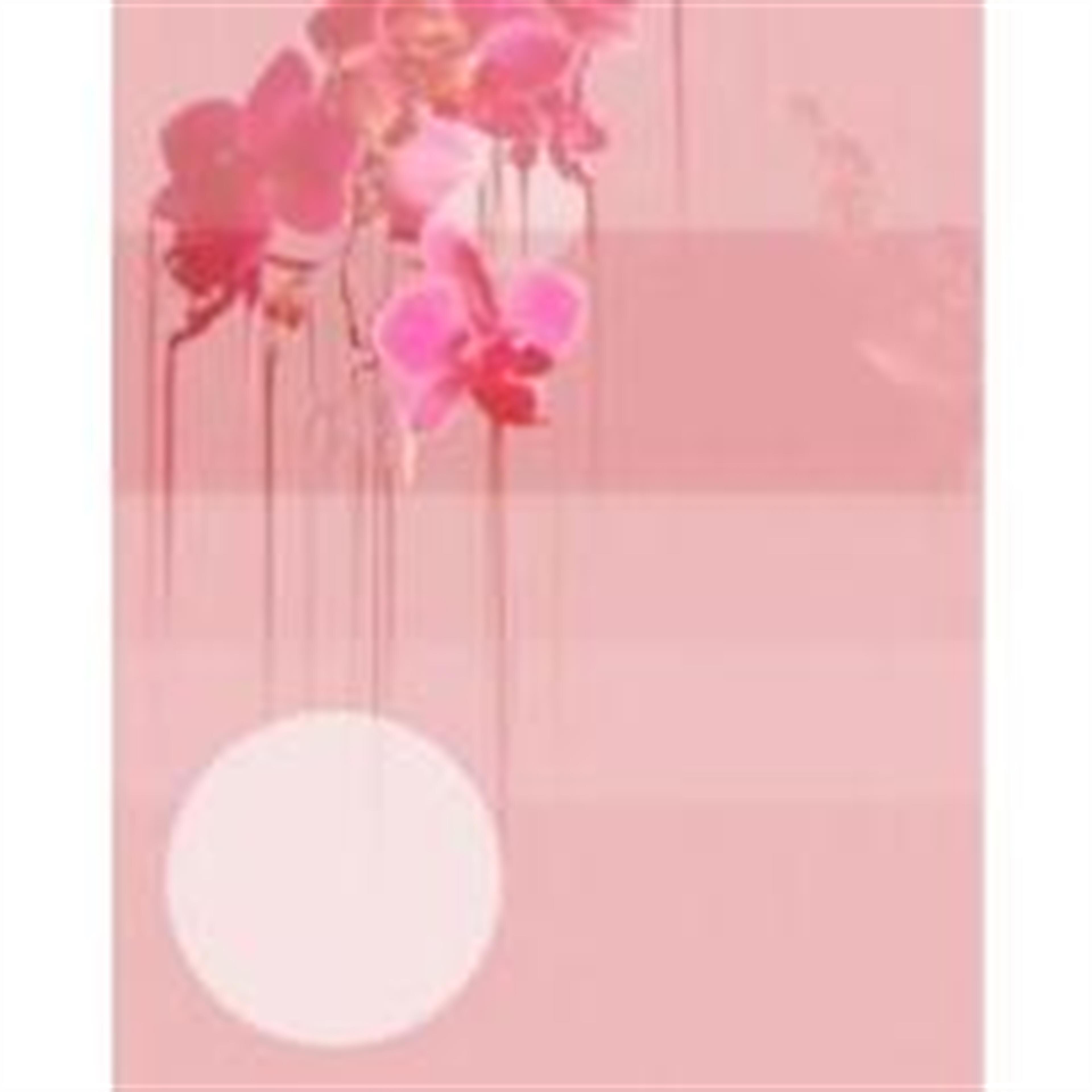 Polly Ann Lundstedt