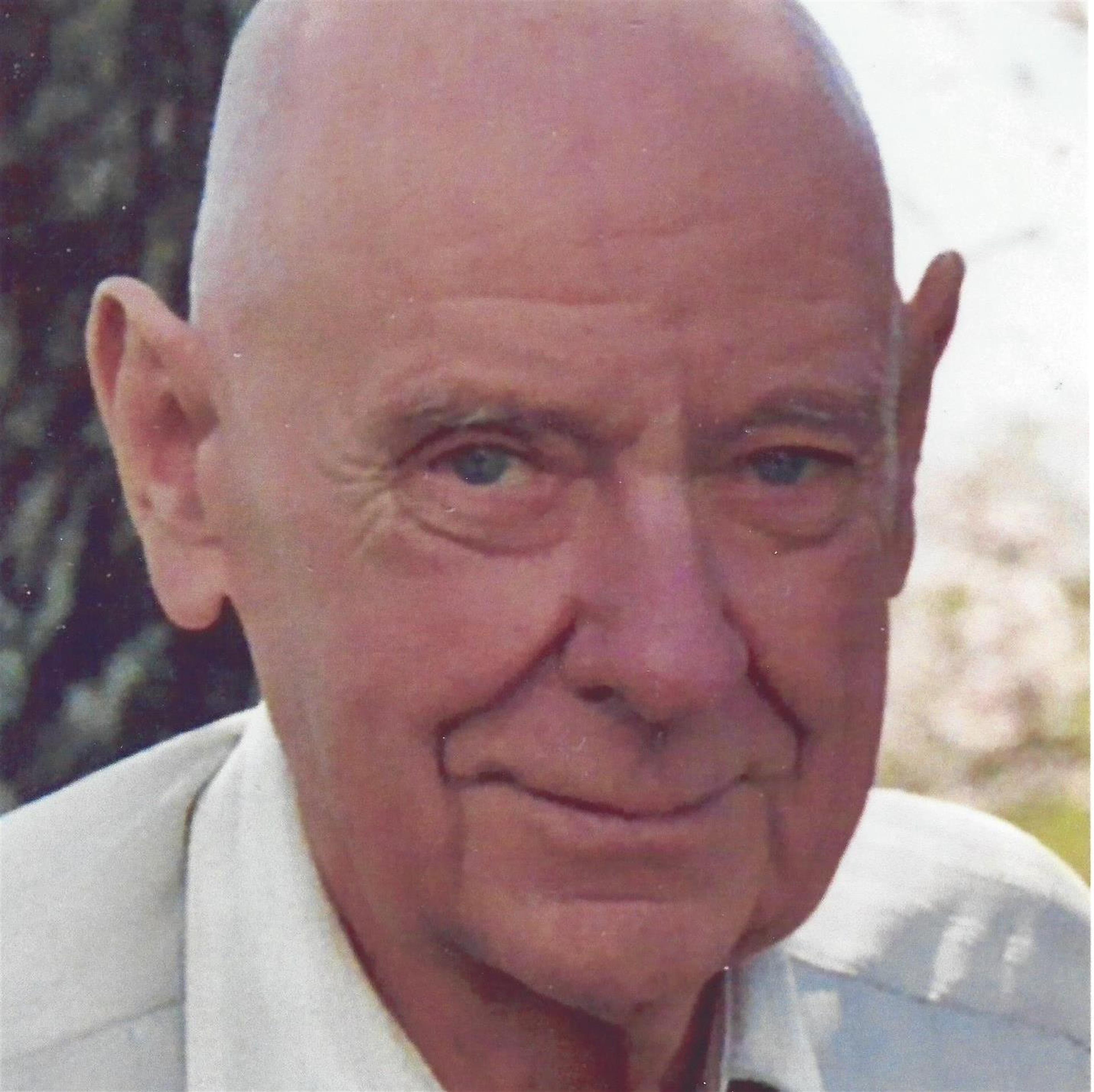 Elmer Robert Wolf's obituary picture