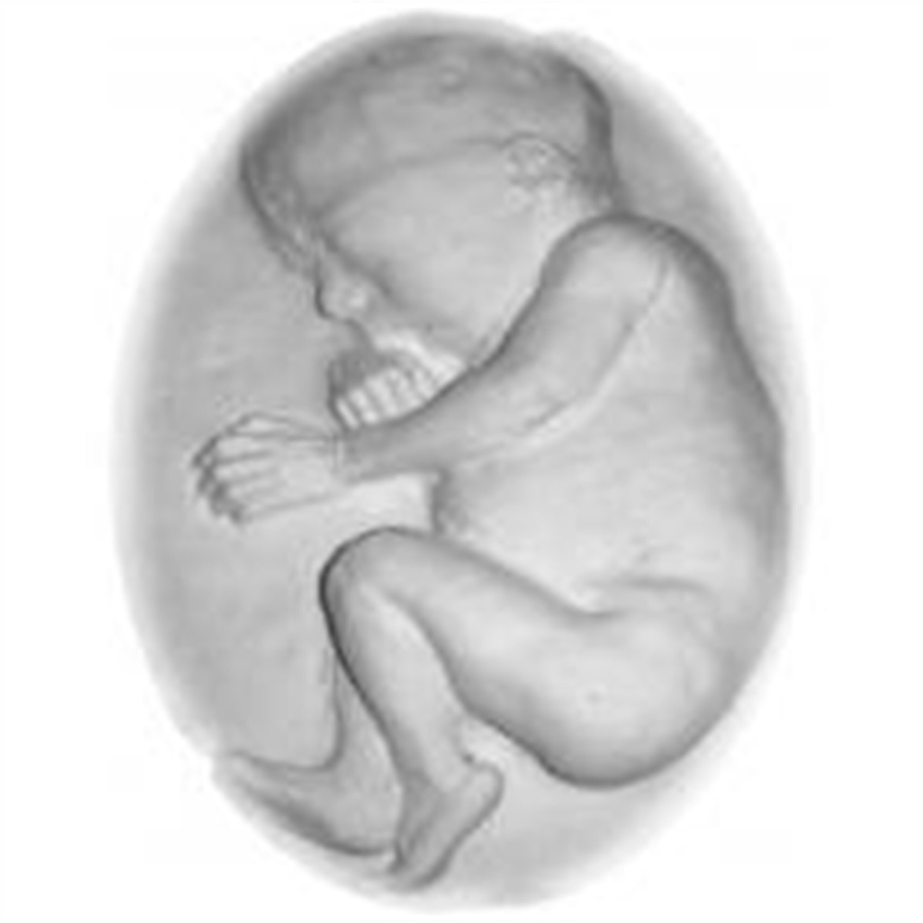 Infant Heavan Lynn Hill