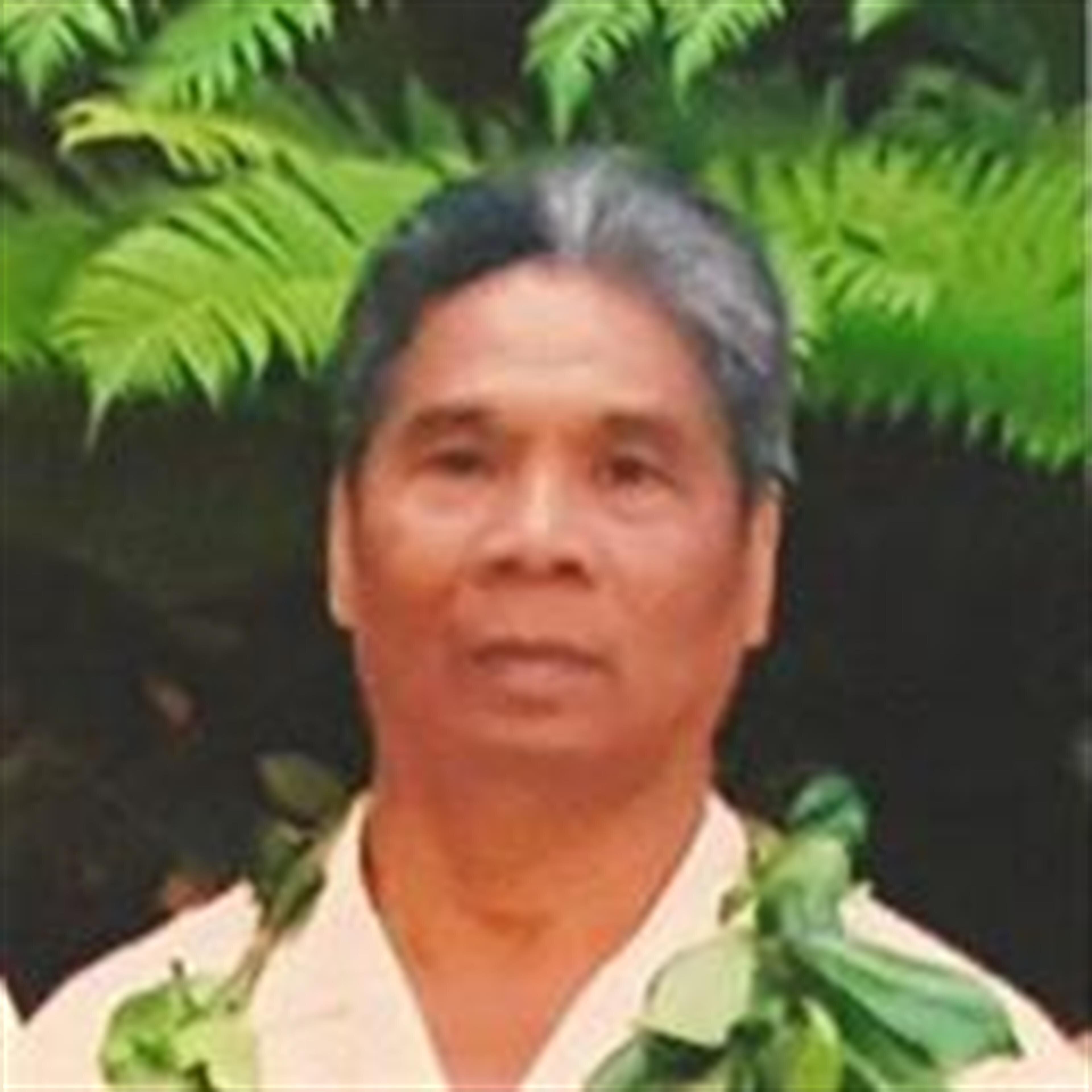 Napoleon S. Cristobal