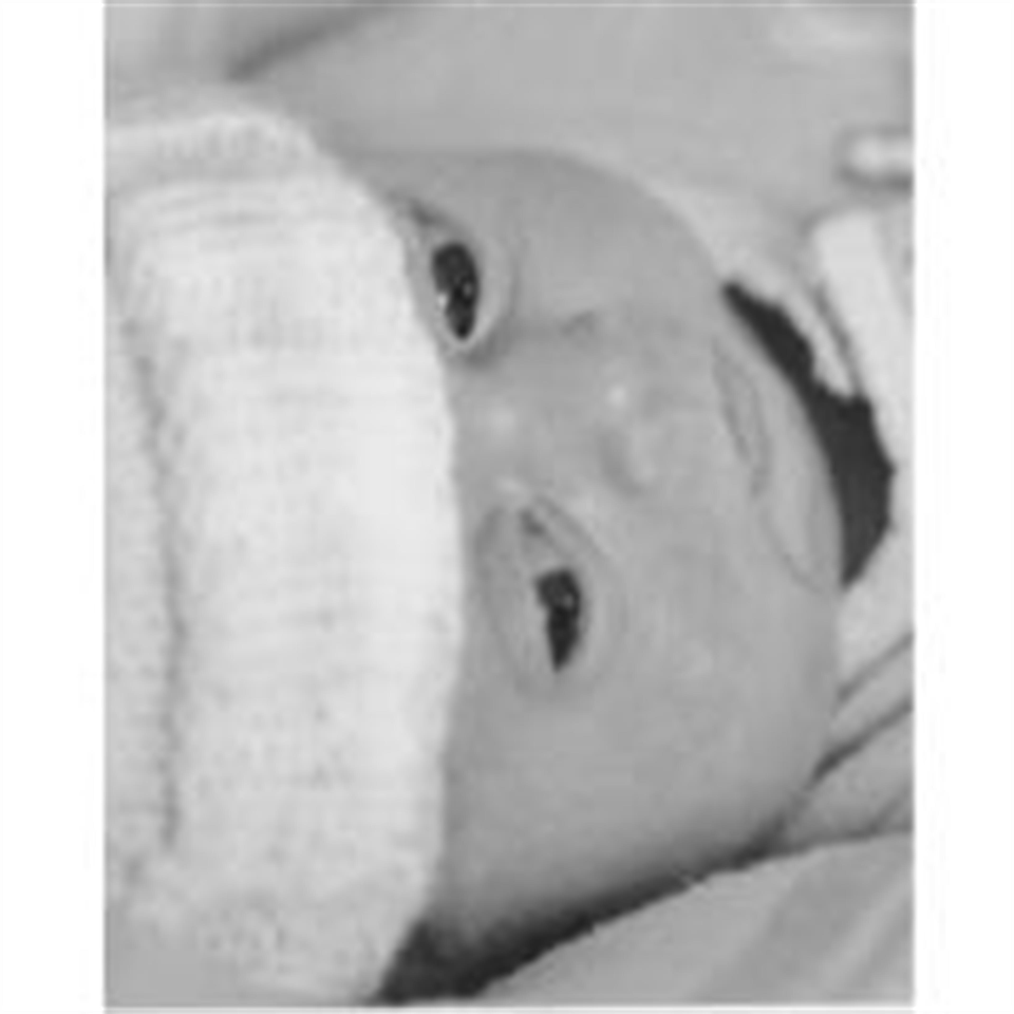 Lilah Paige Stover