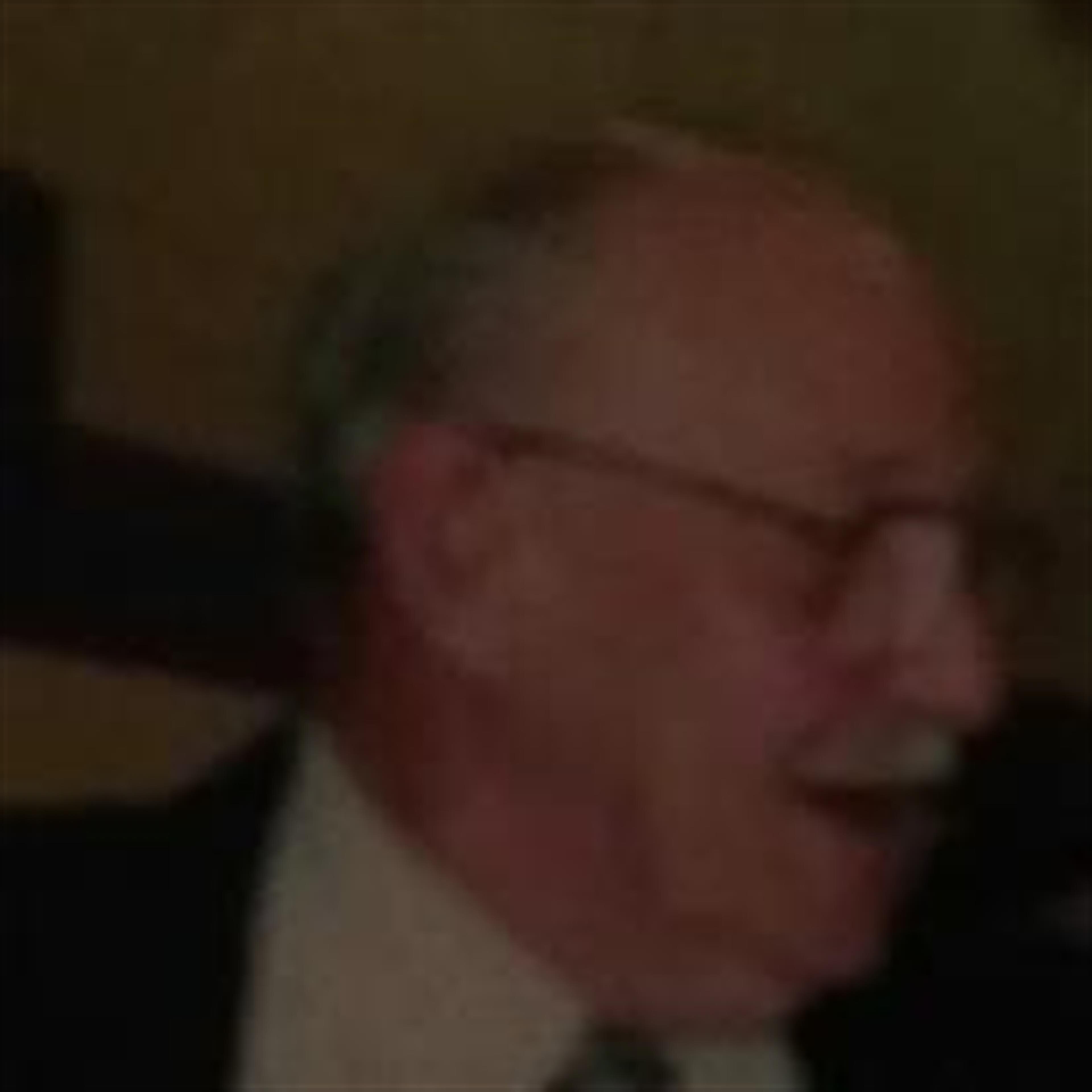 Willis Groom (Bolivar)