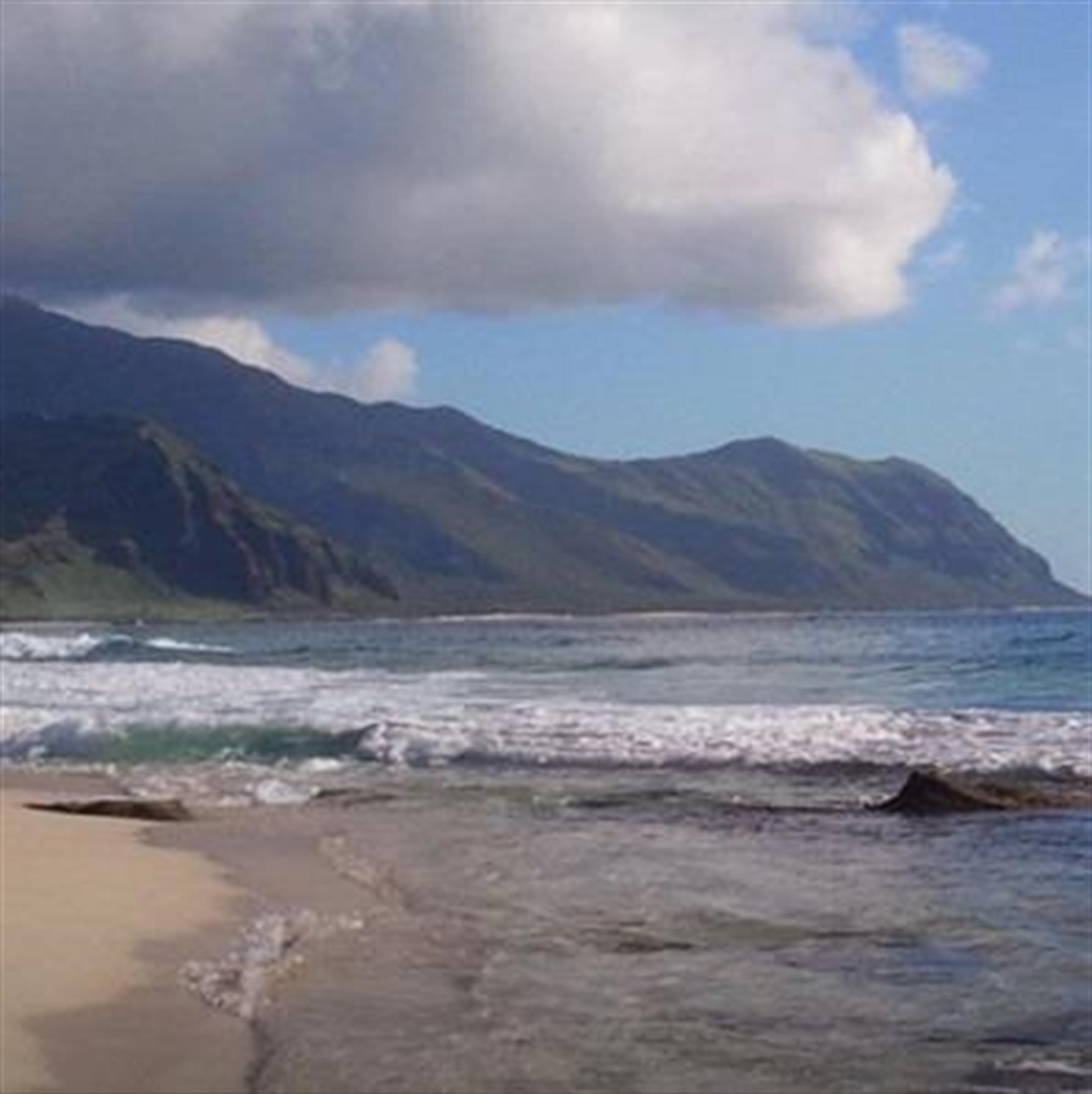 Paul Holualoa Akau