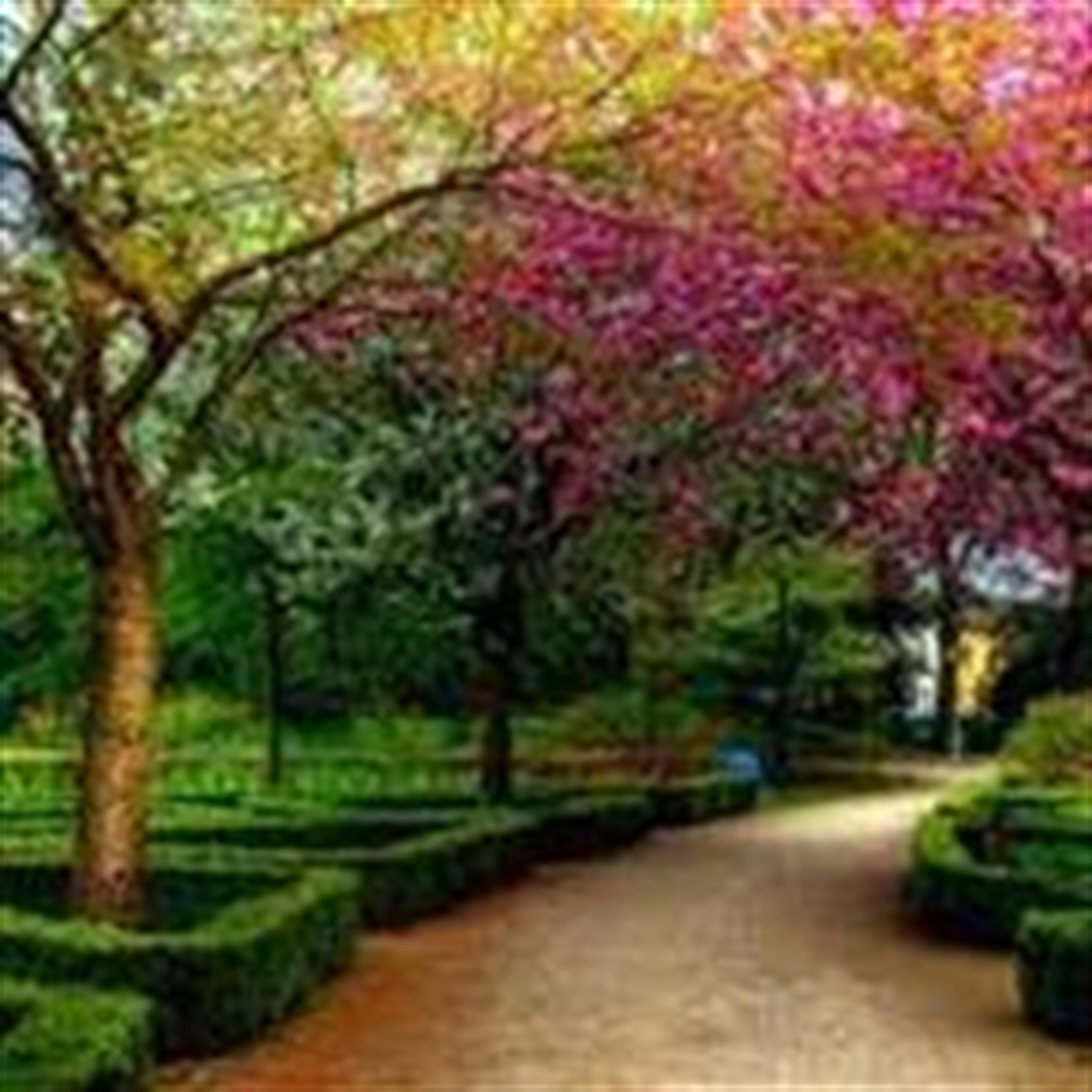 Imogene Miller (Bolivar)'s obituary picture