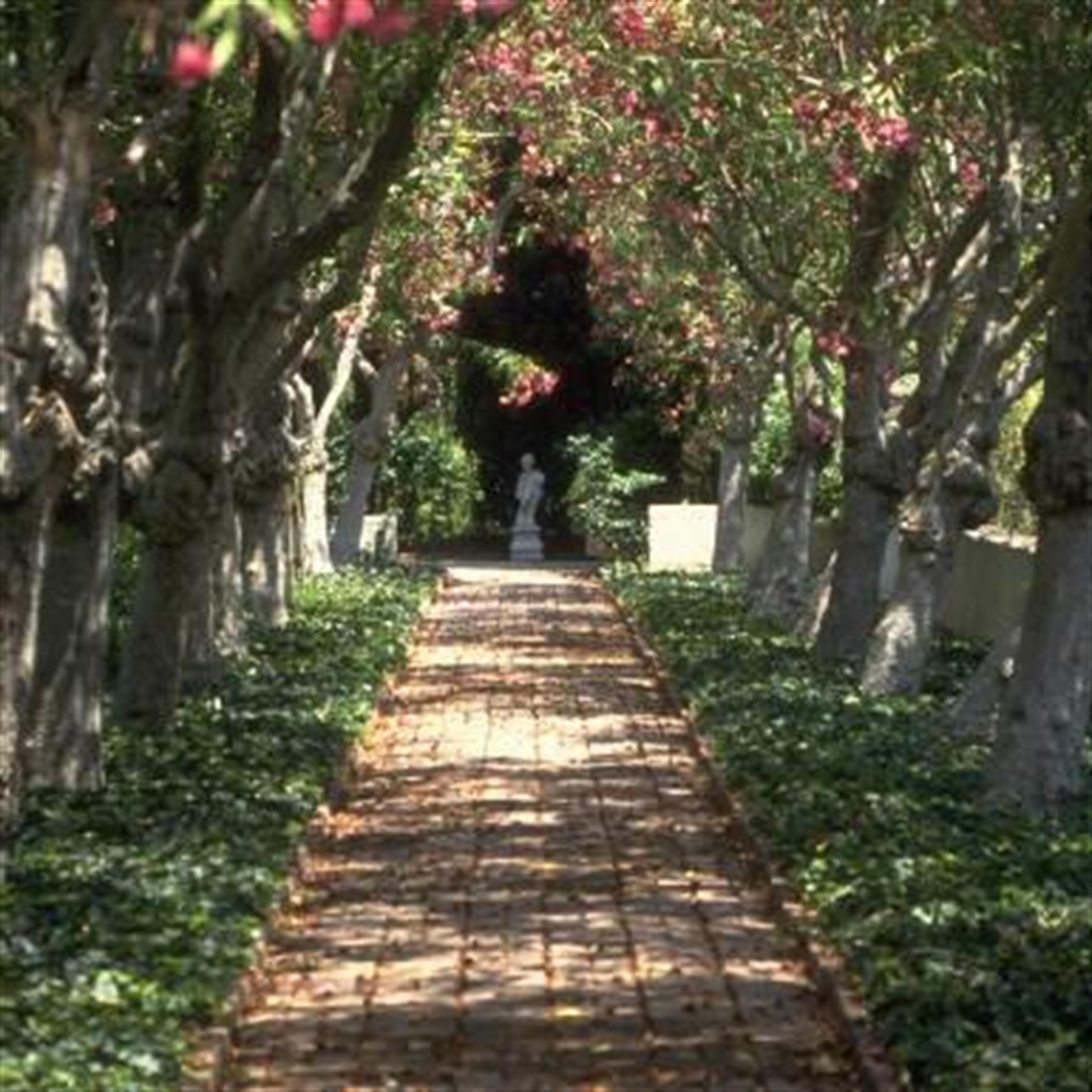 Robert Franklin Hazelrigg