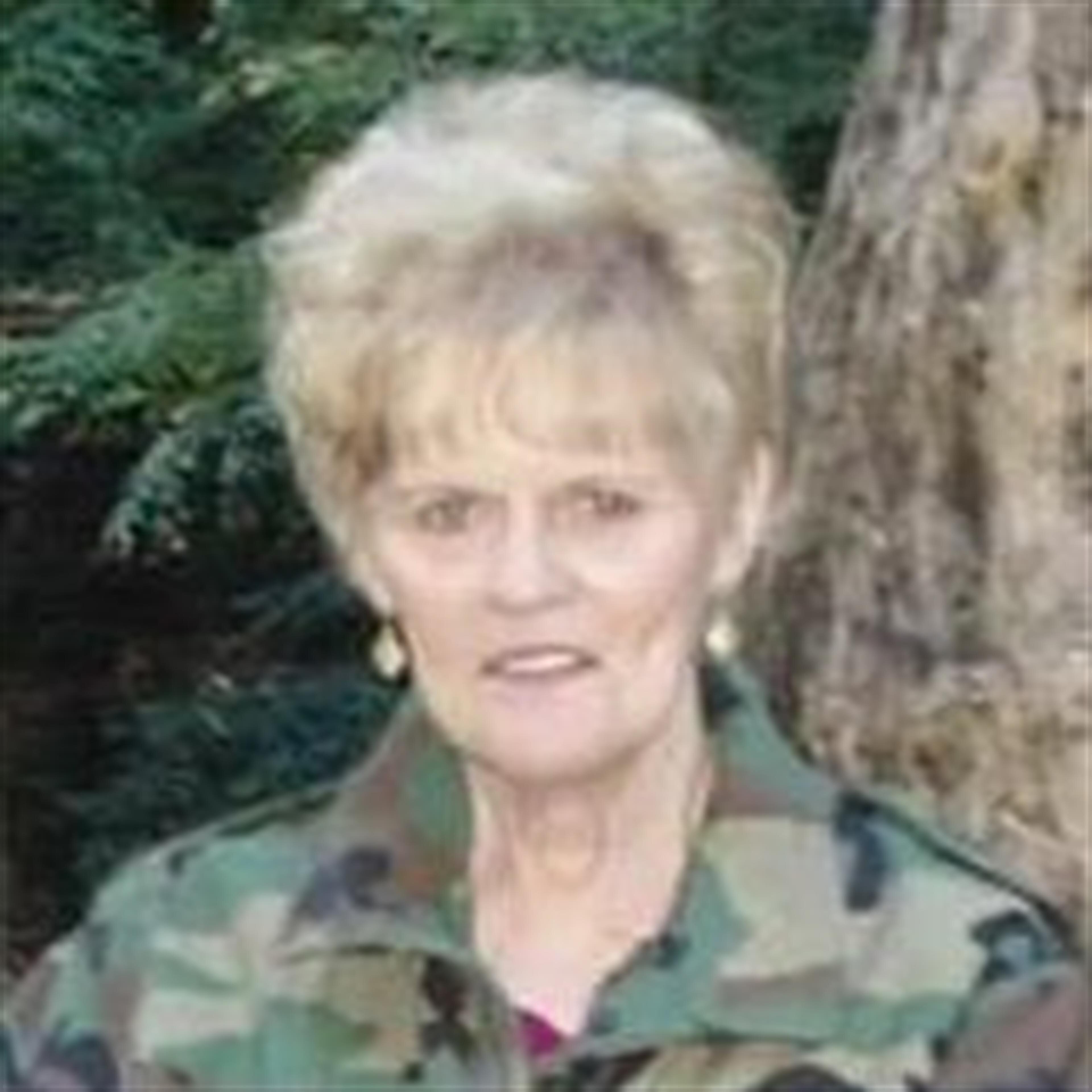 Ann L Aycock