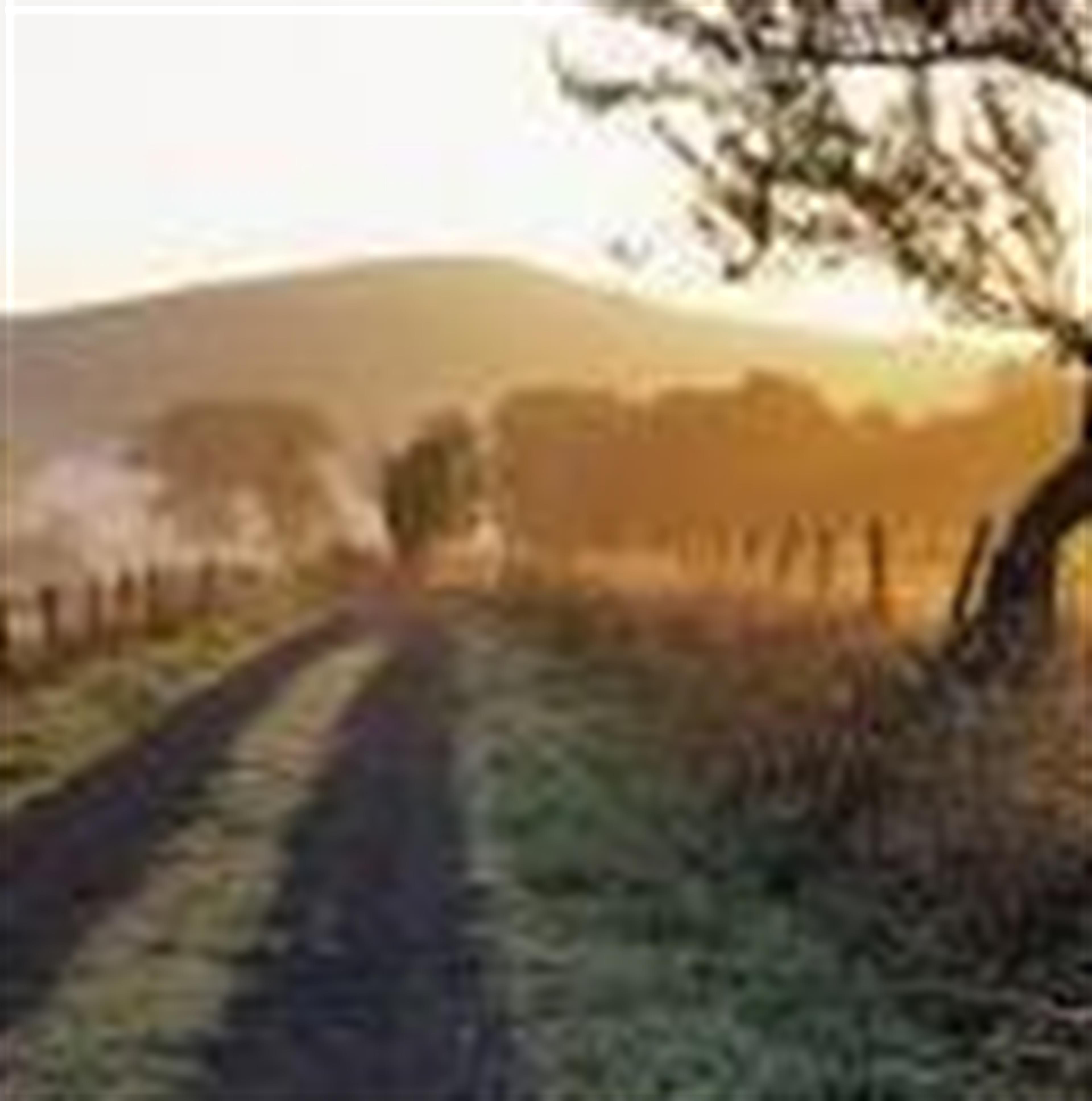 Thomas Arnold (Bolivar)'s obituary picture