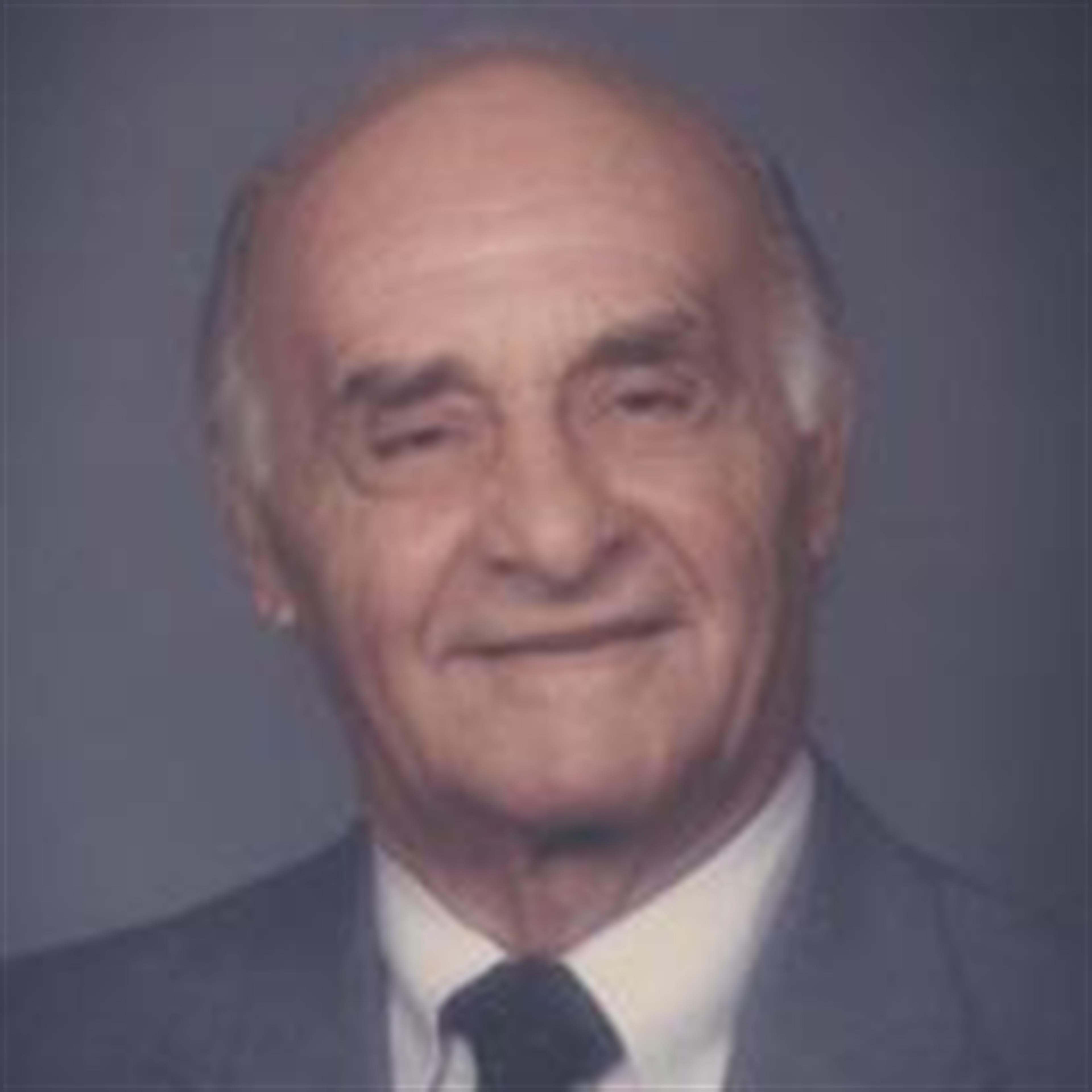 Dominic J. Bizzaro