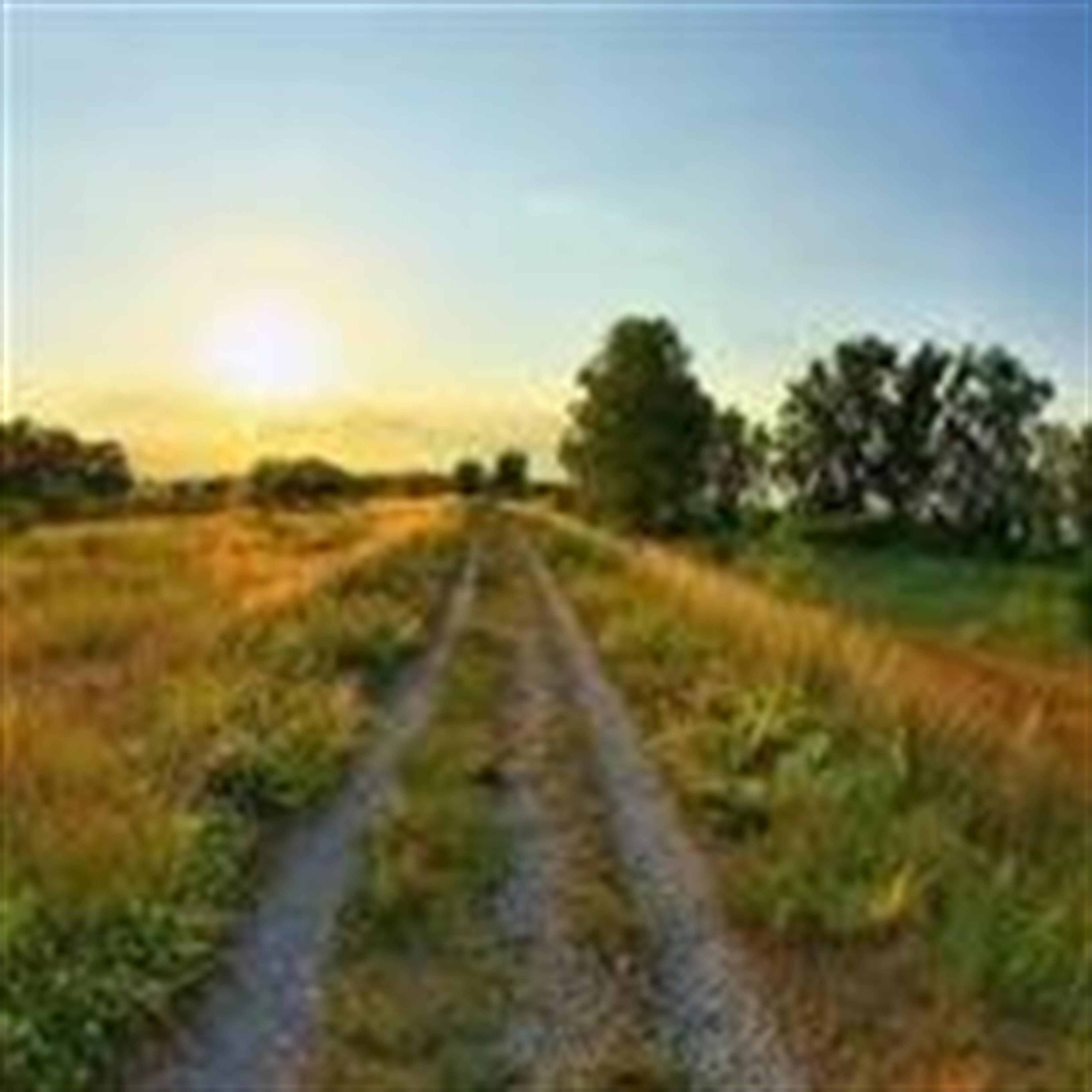 Jerry McDougal (Bolivar)