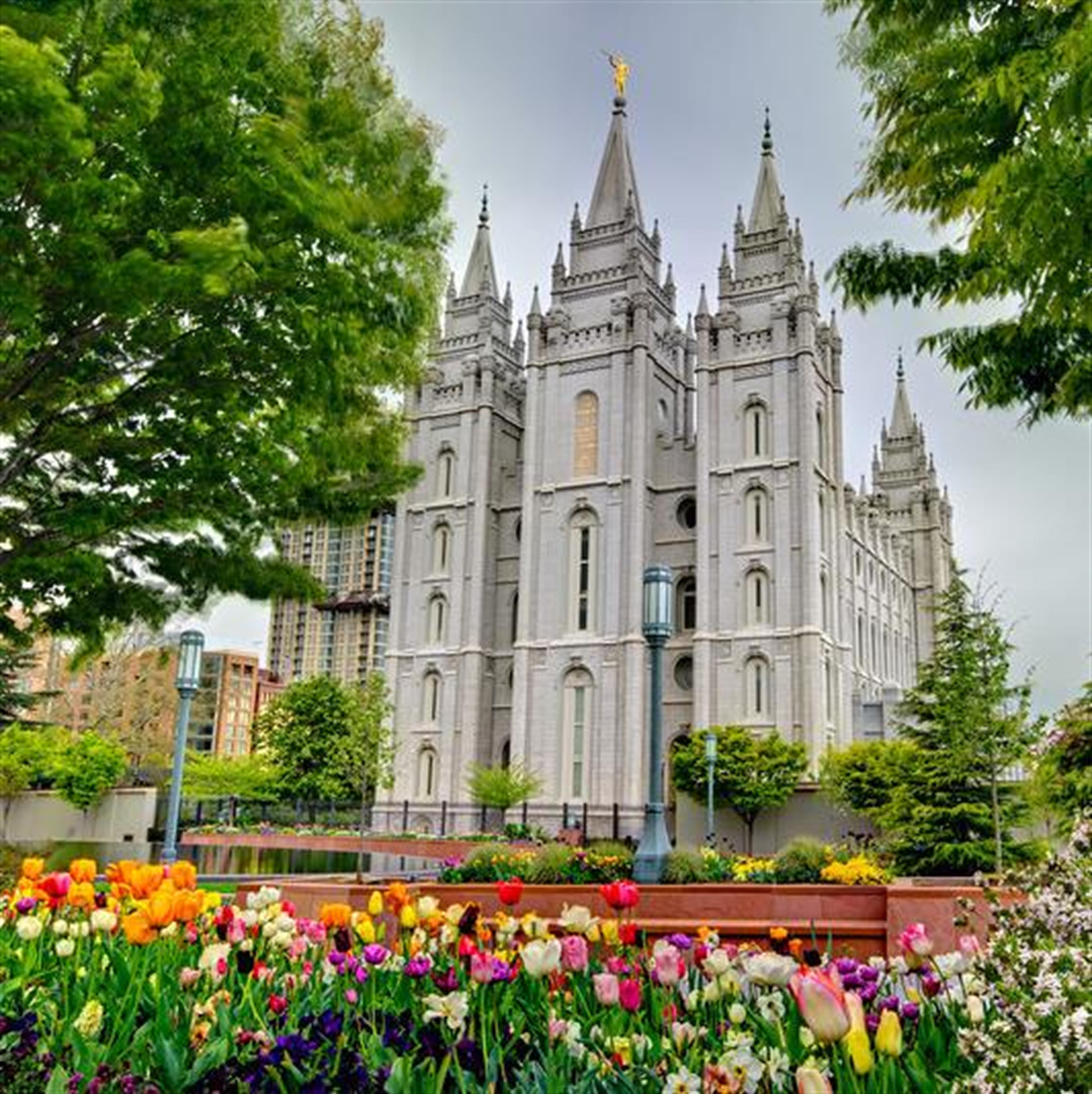 Robert L Pallies' obituary picture