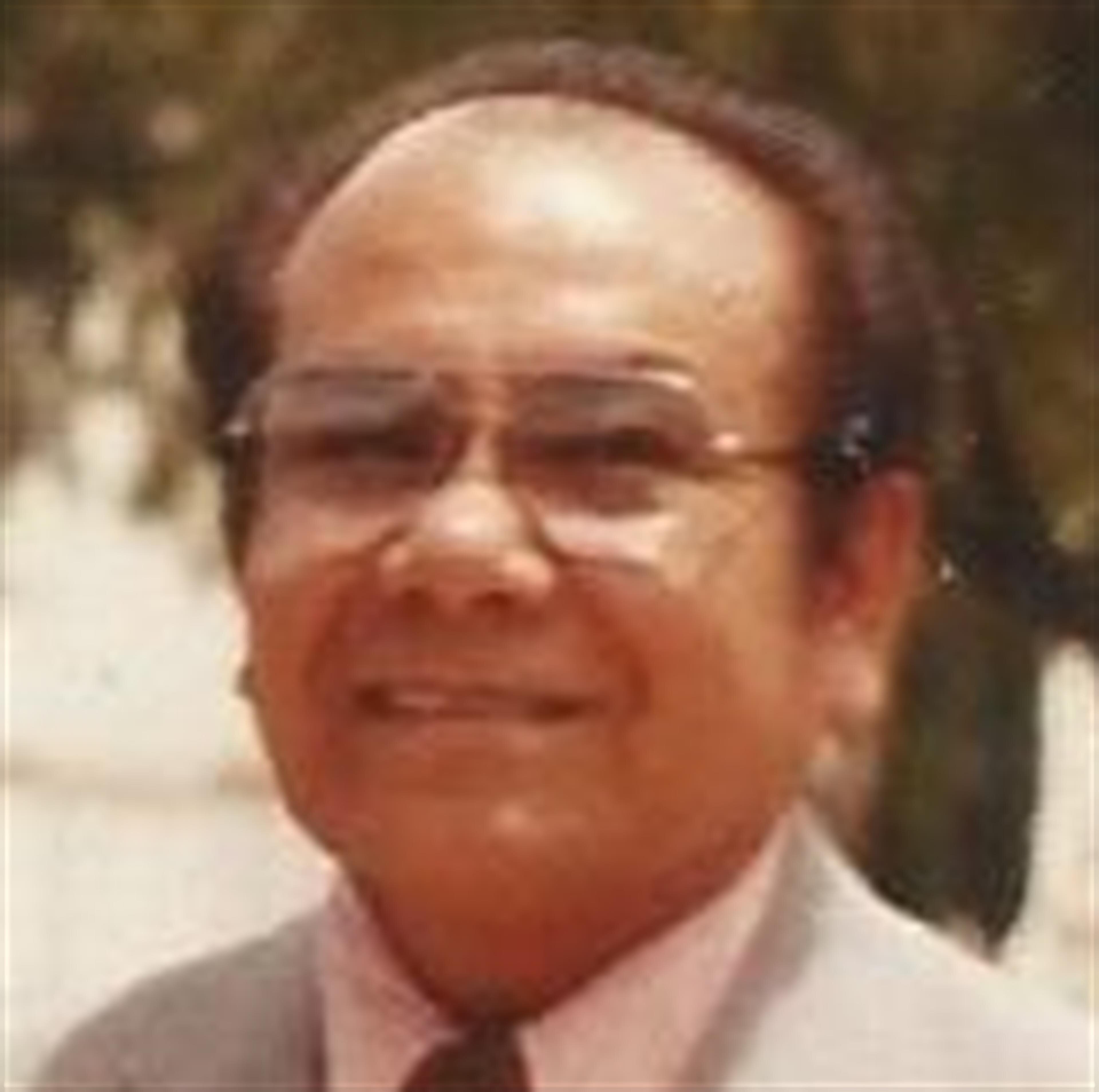 Andres L. Navarro