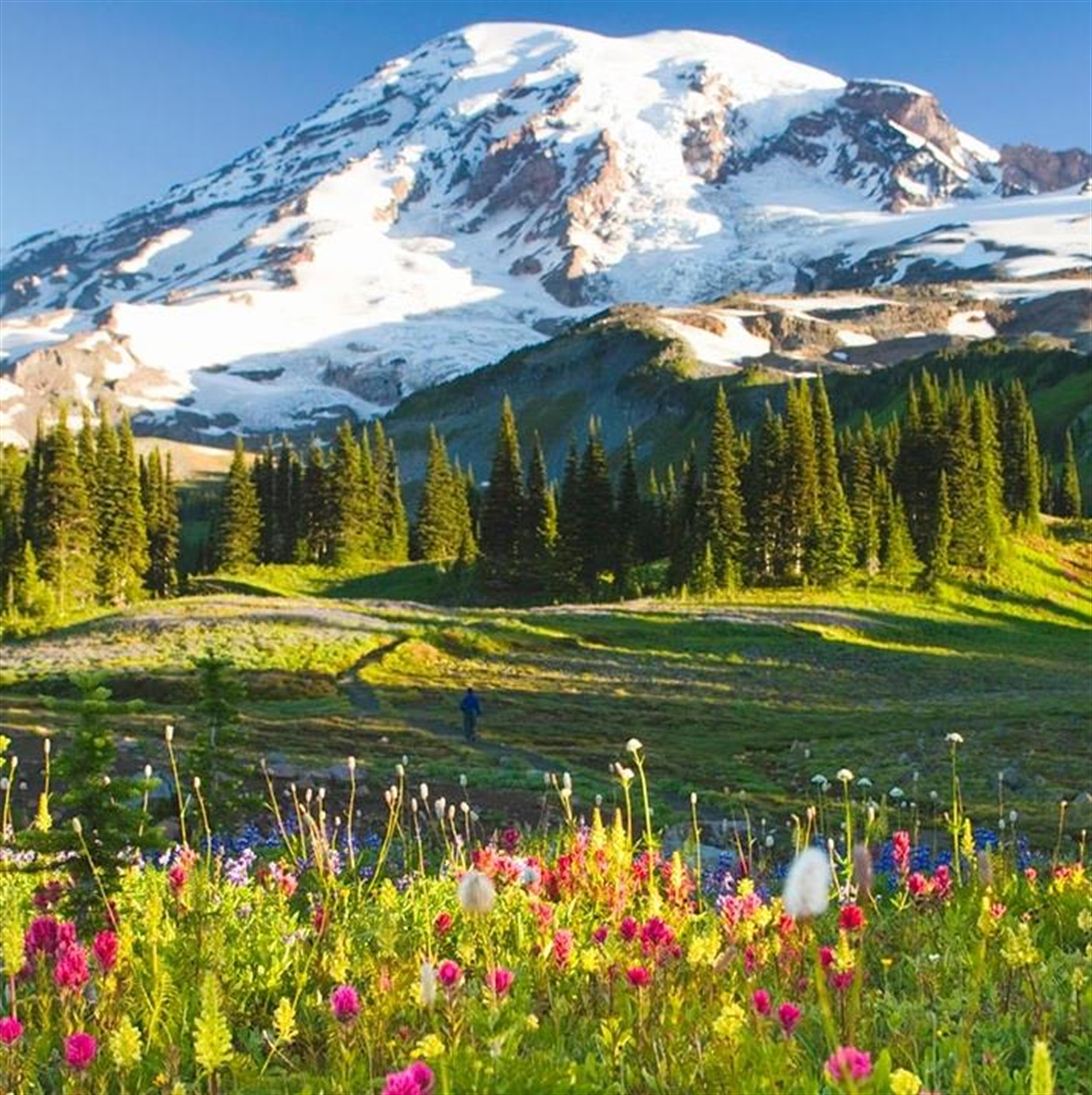 Randy "Pete" G. Peterson