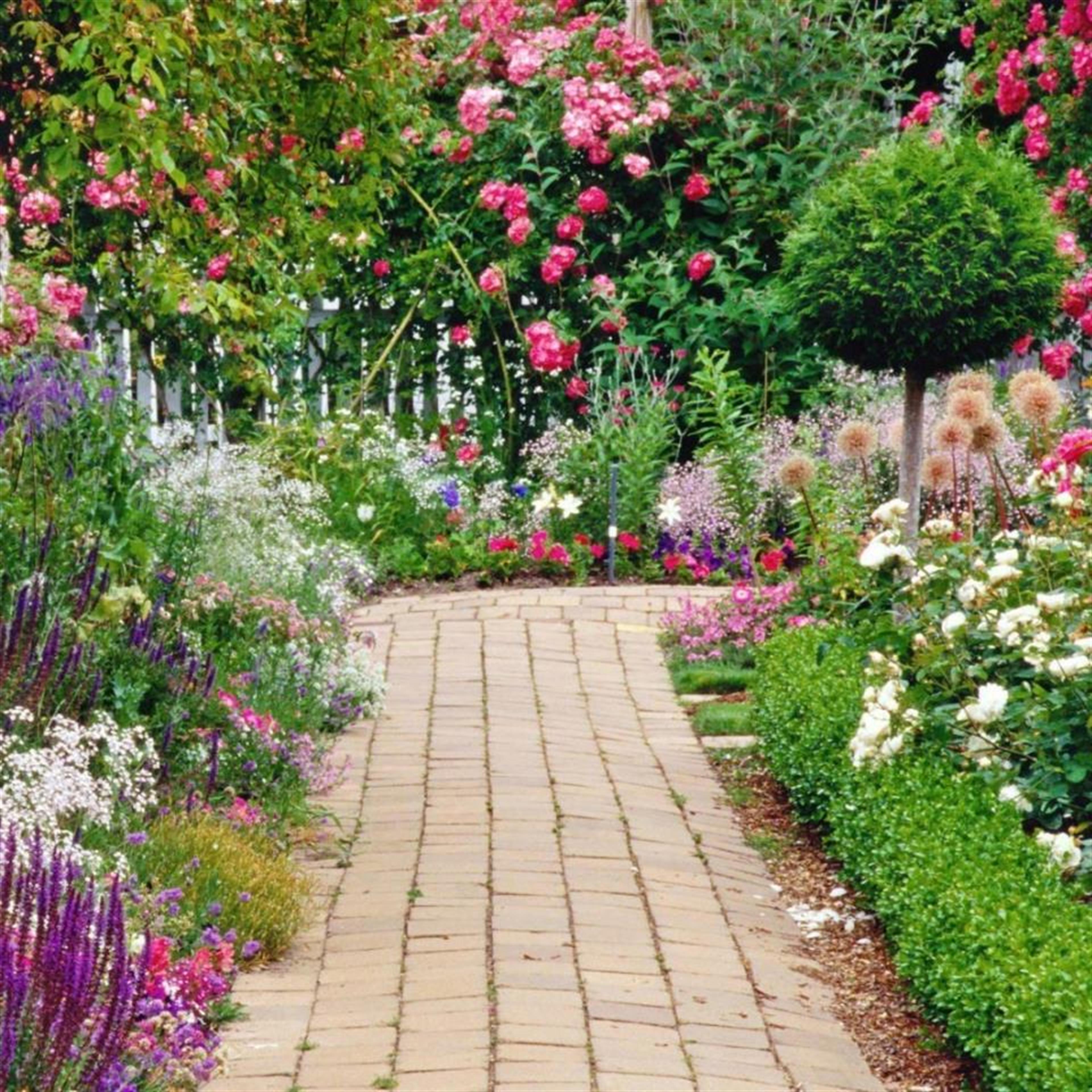 Mrs. Charlie Evelyn Dark's obituary picture