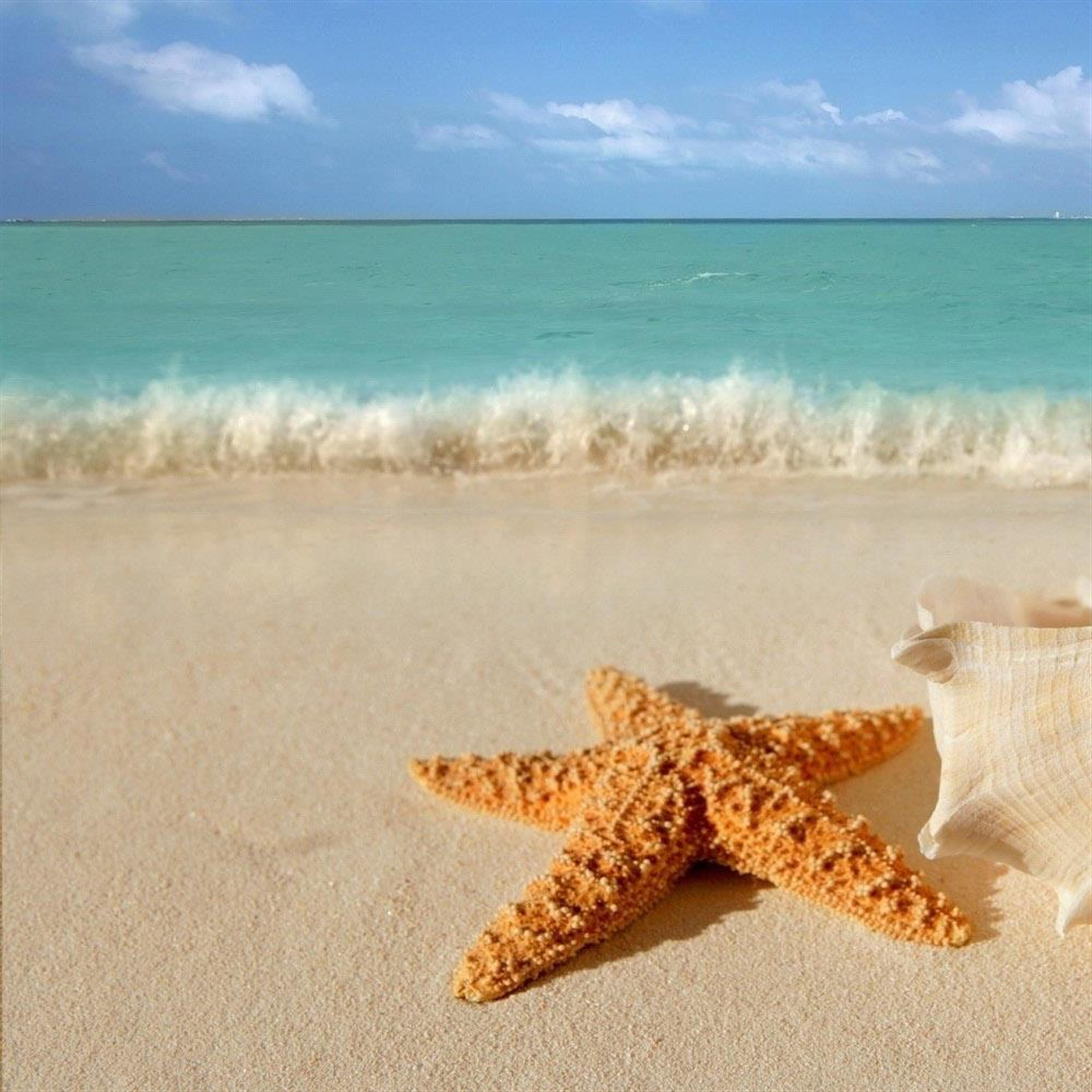 Maureen Foreman Sorrell