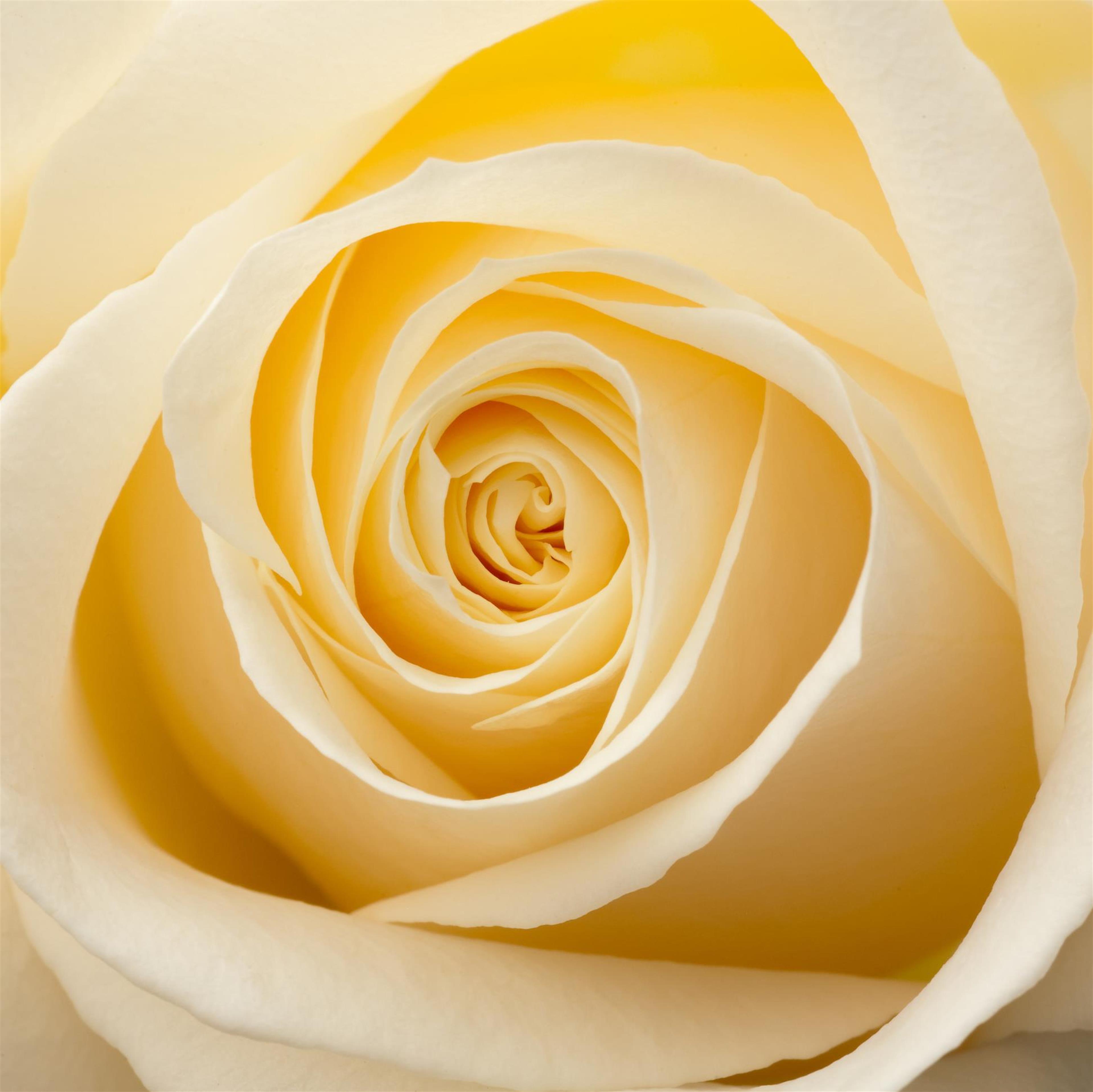 Grettel Martinez Pereira