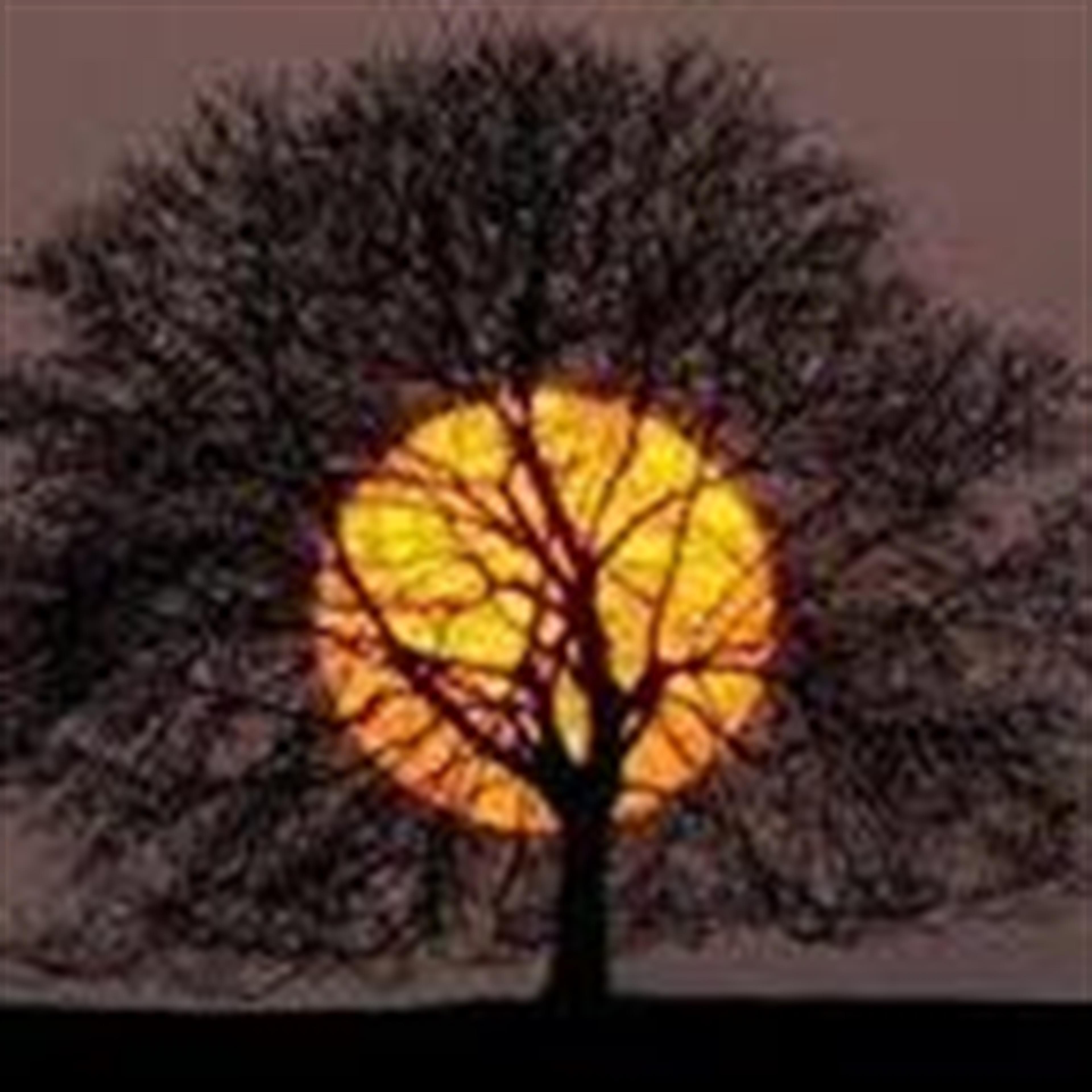 Steve D. White (Lebanon)'s obituary picture