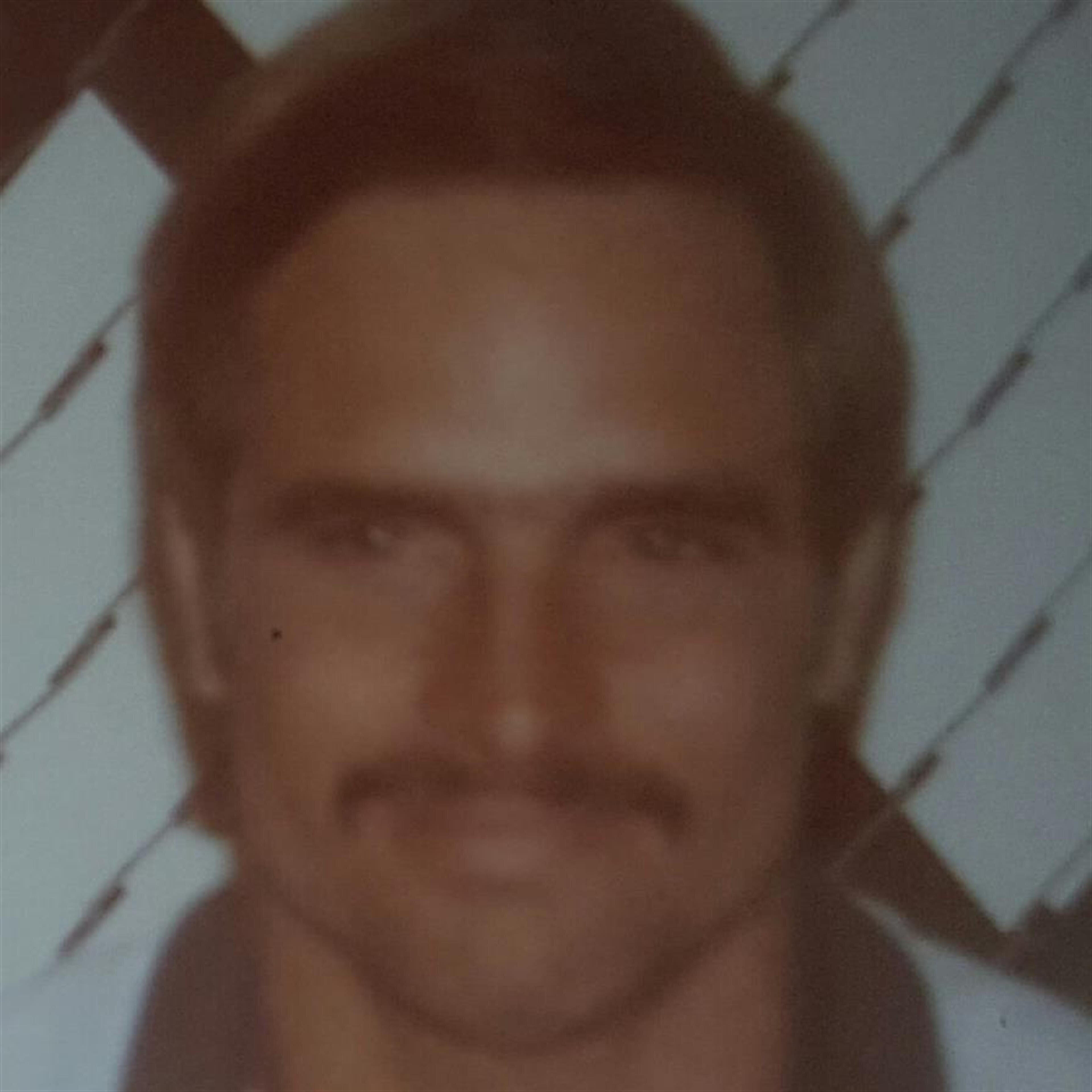 Herman  P.  Amaral Jr.