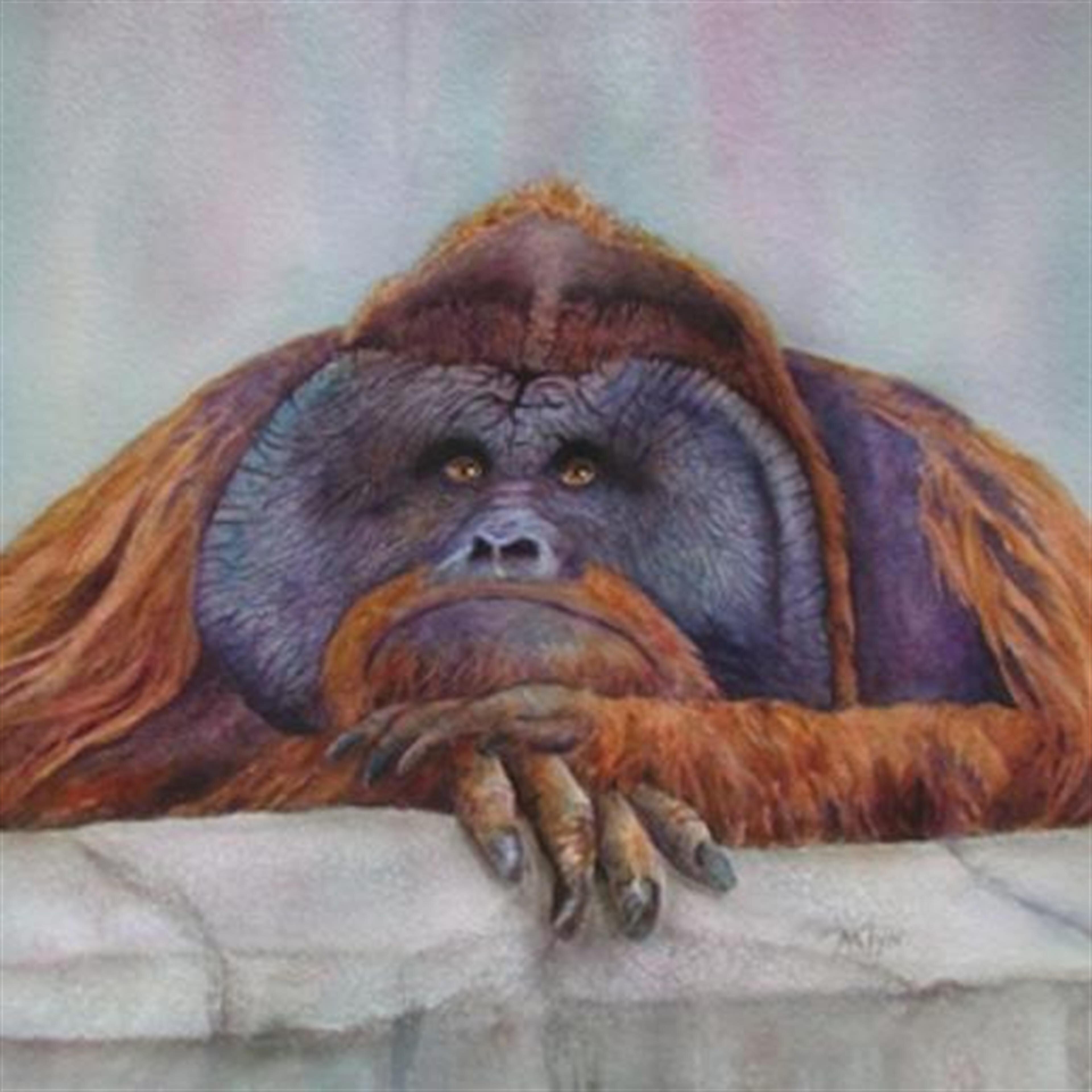 Marilyn K Priem