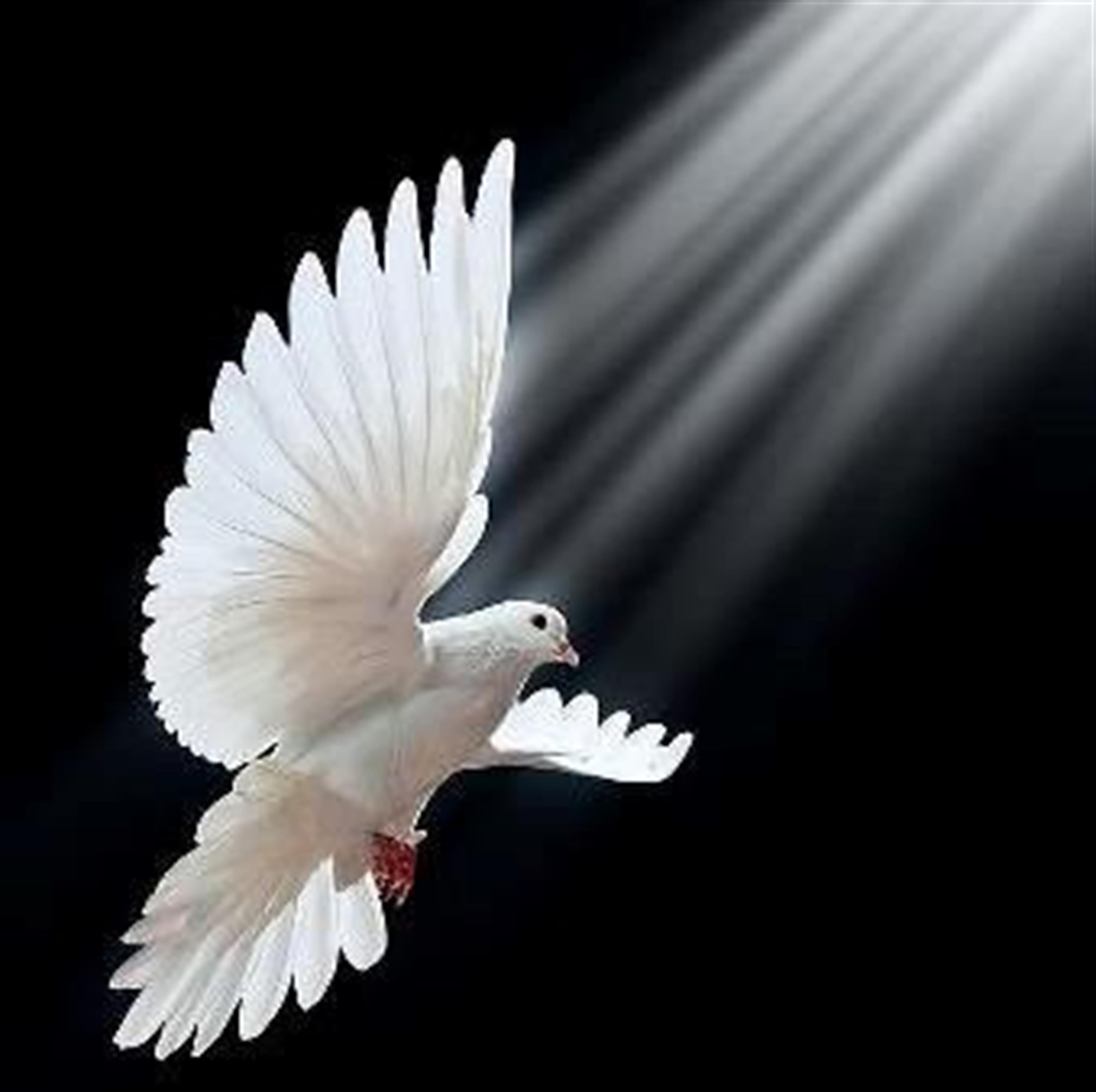 Harriet Corrine (Worell) Hilton