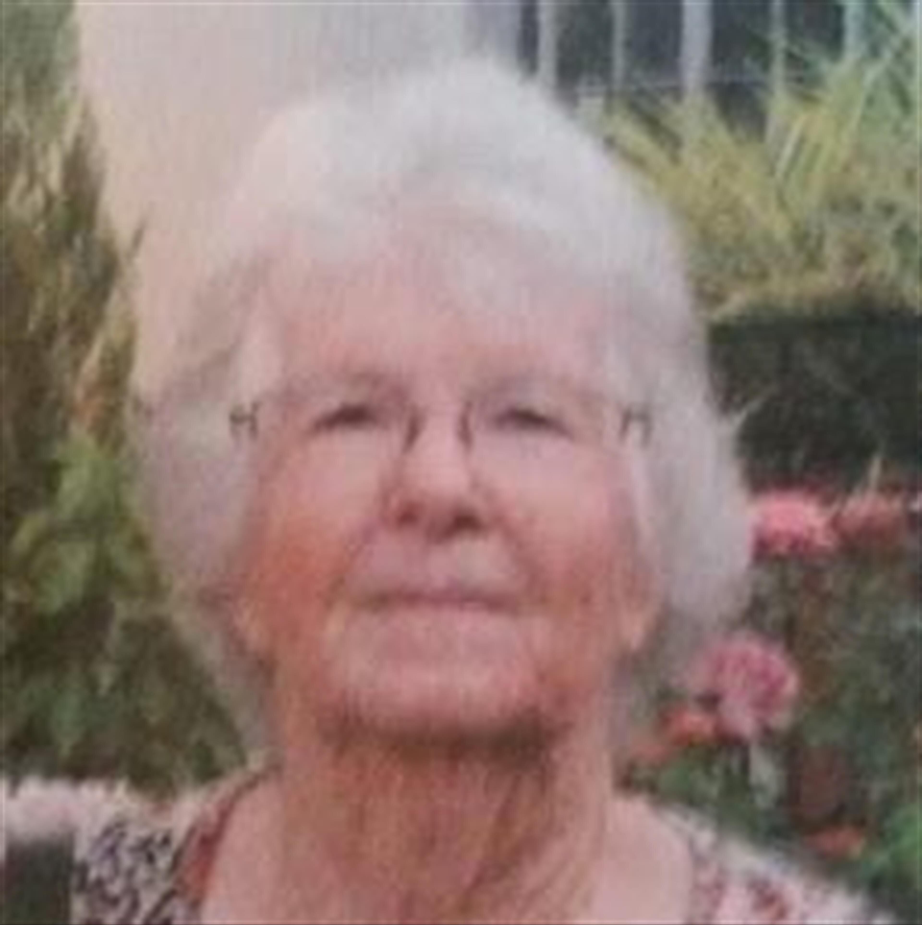 Virginia C. Fitchett