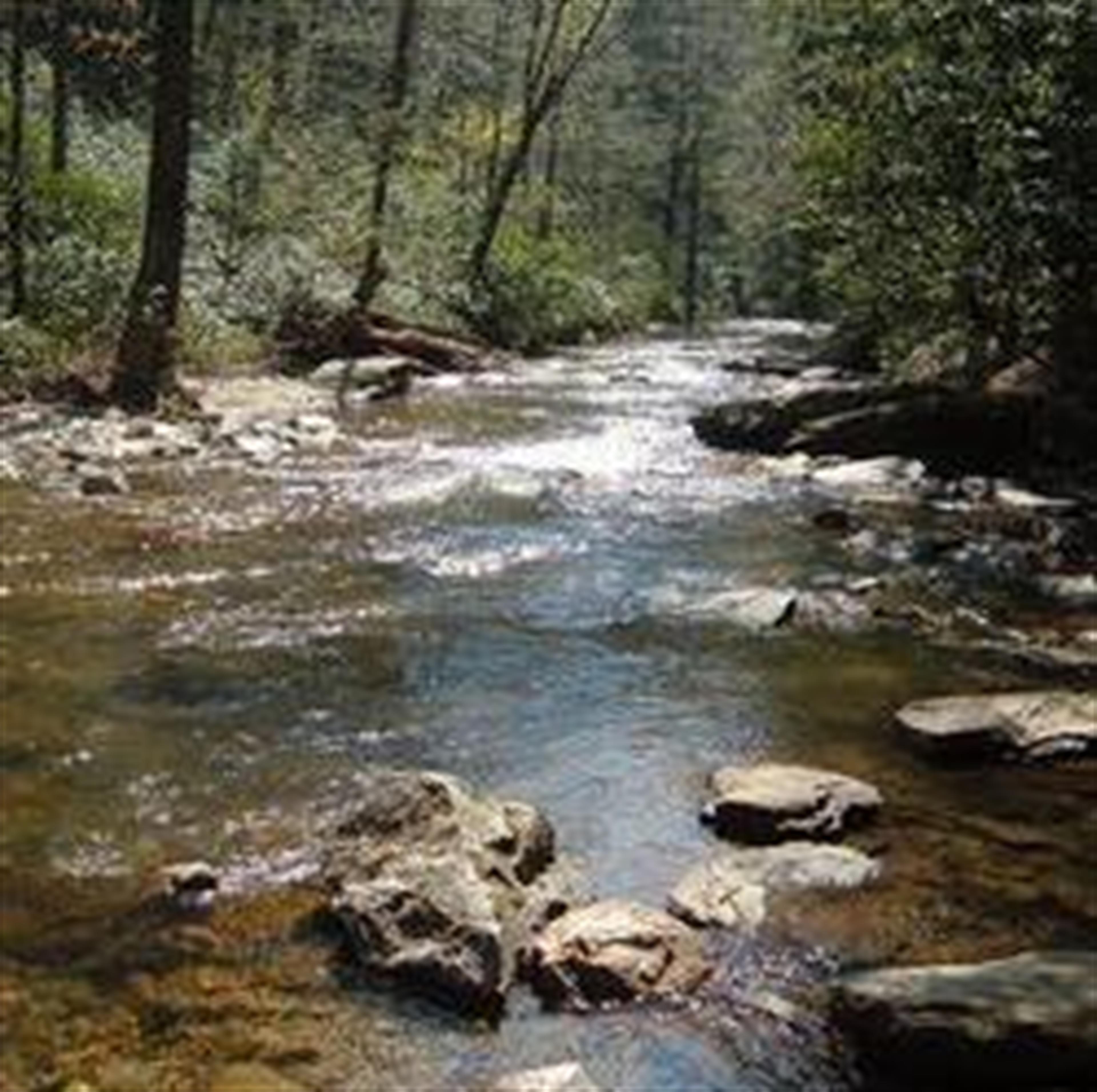 Wendell Smith (Bolivar)'s obituary picture