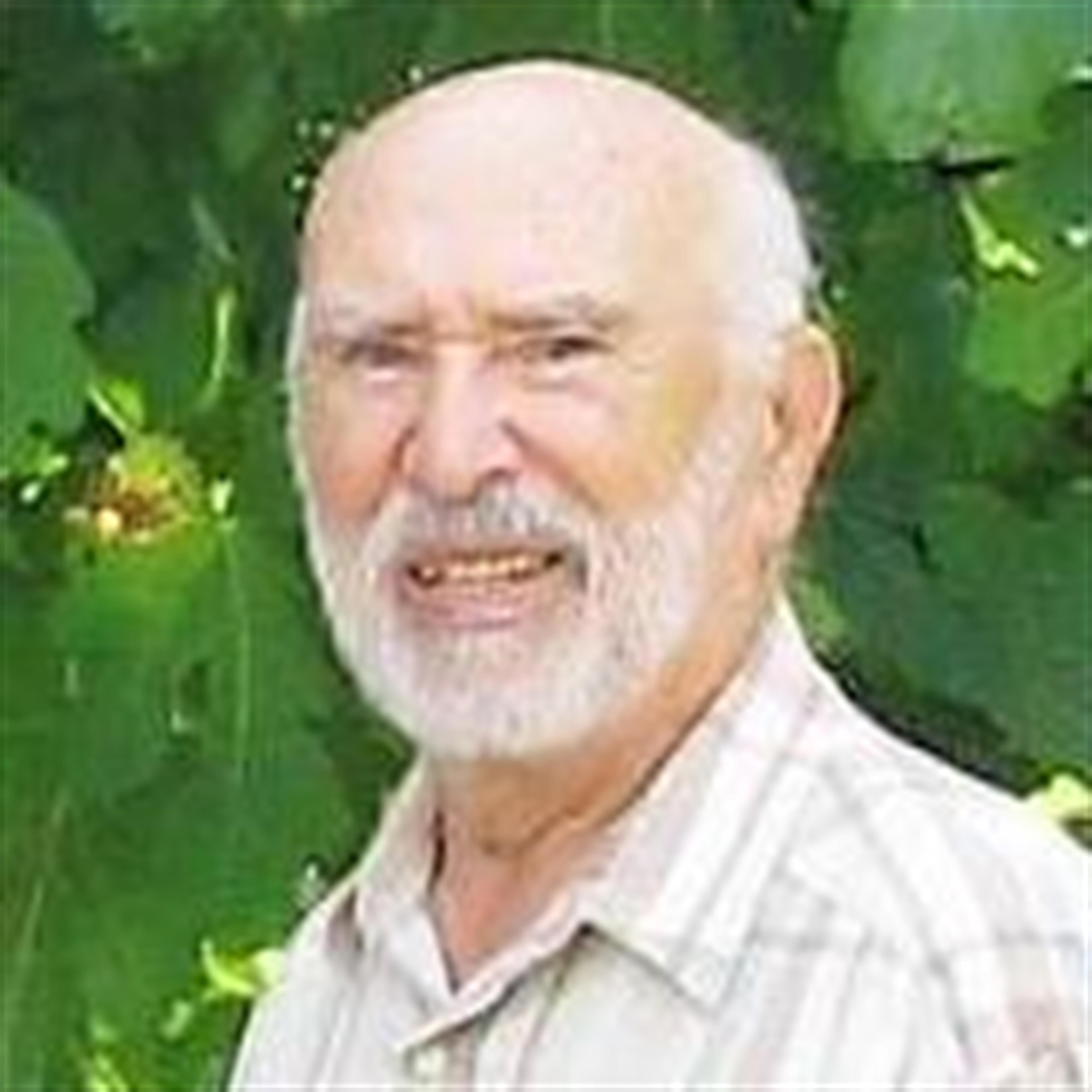 Wolf G. Langer