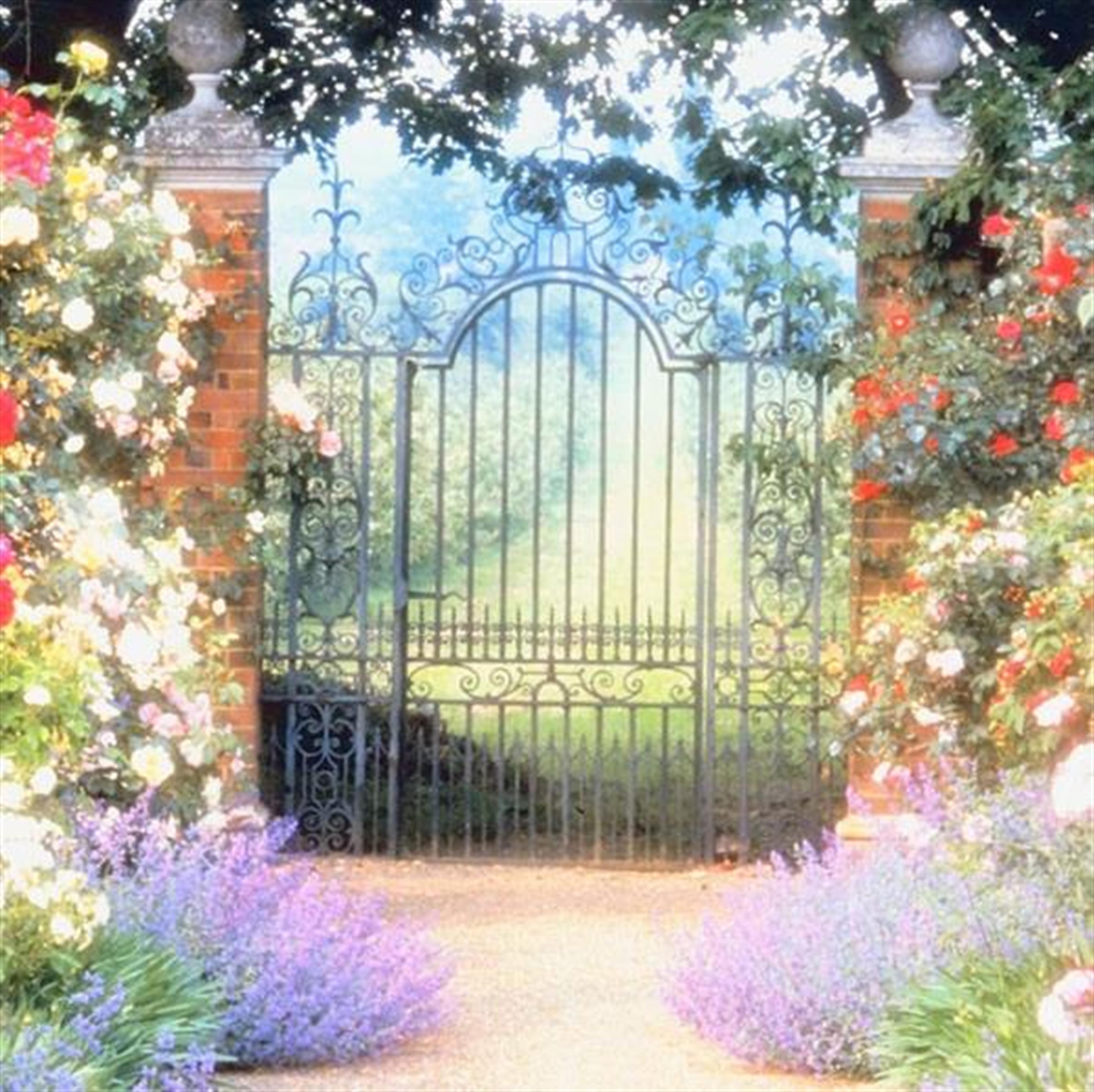 Joan Anita Williams' obituary picture