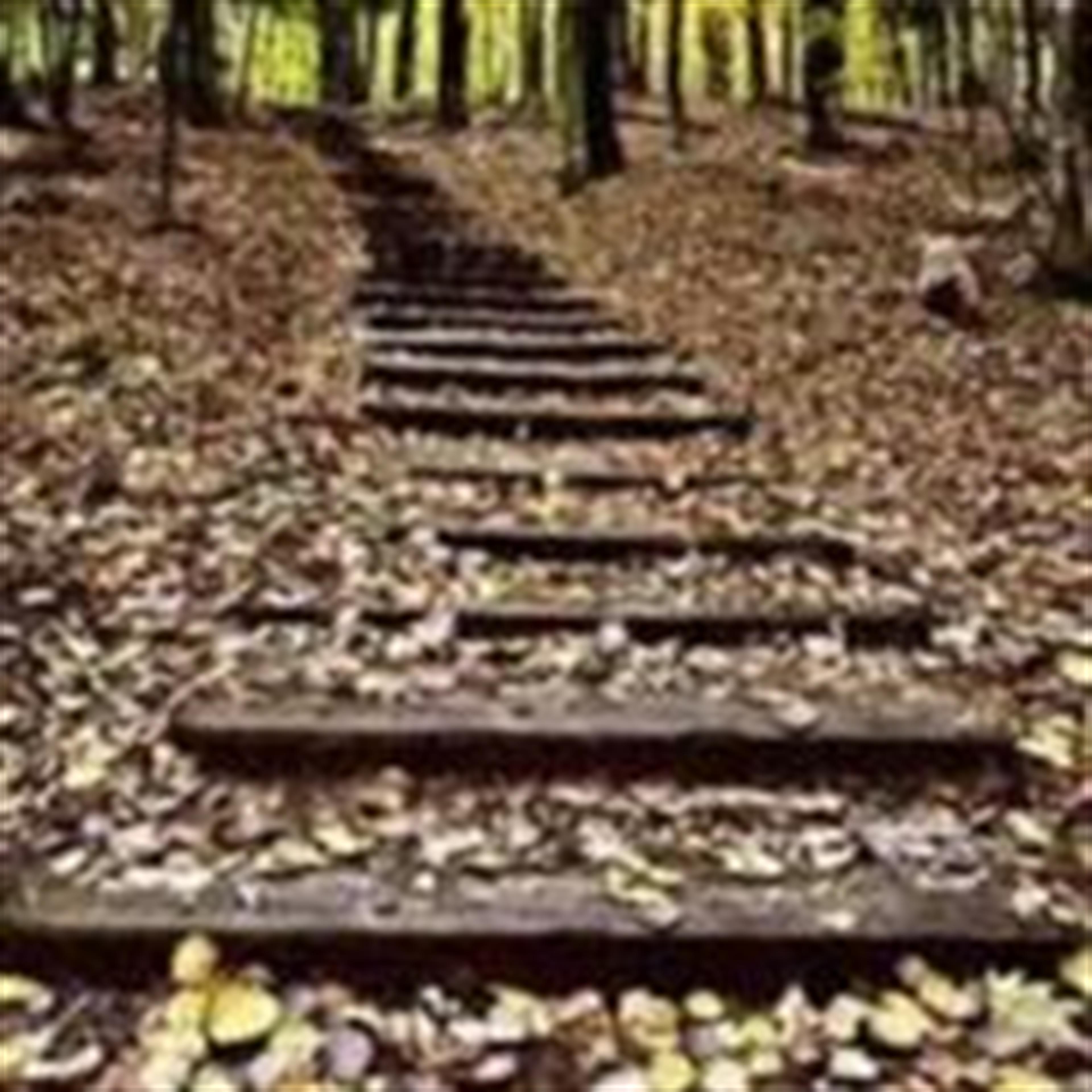 Constantin Furdui (Bolivar)