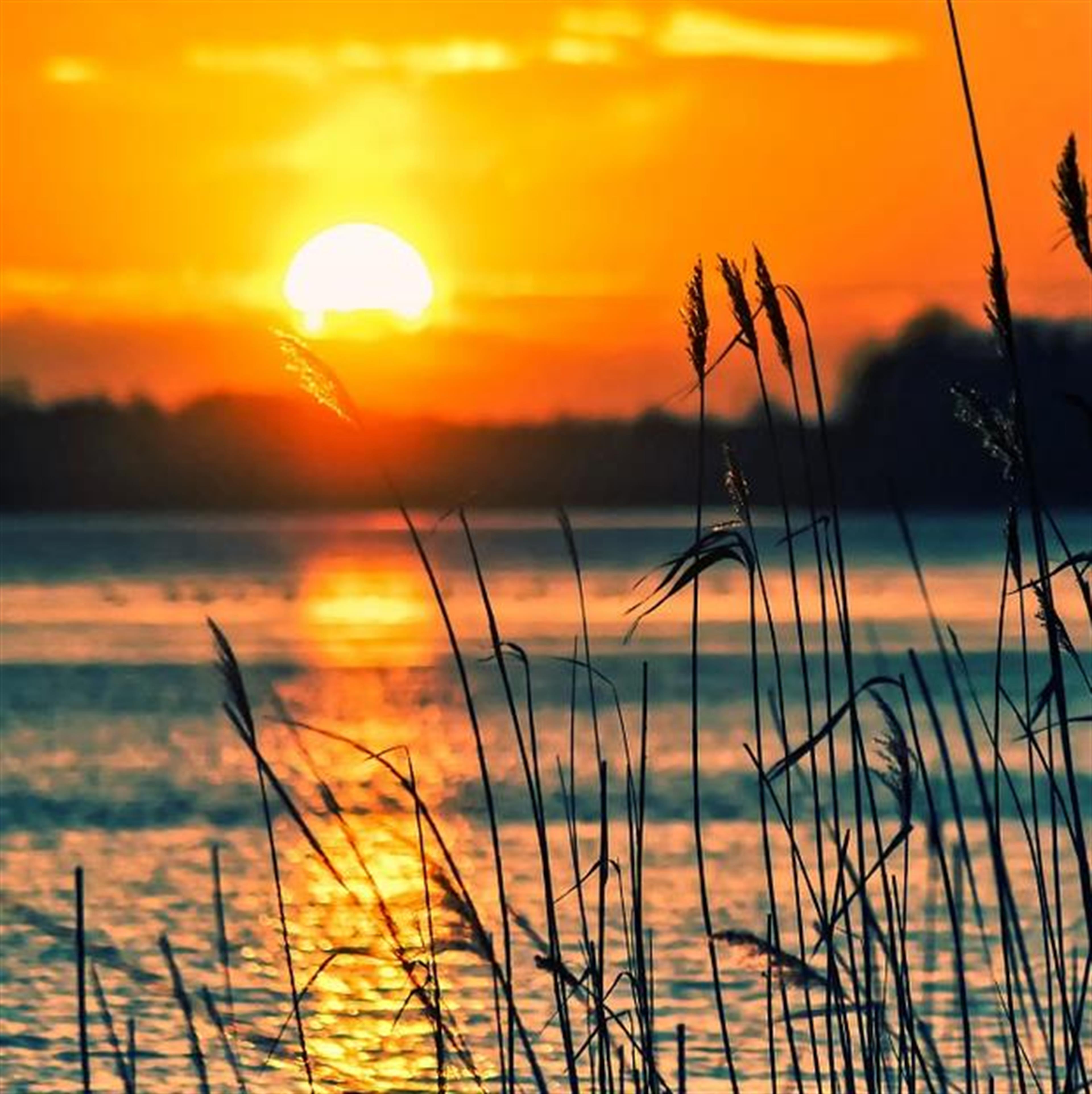 Mr. Justin Wade Weldon's obituary picture