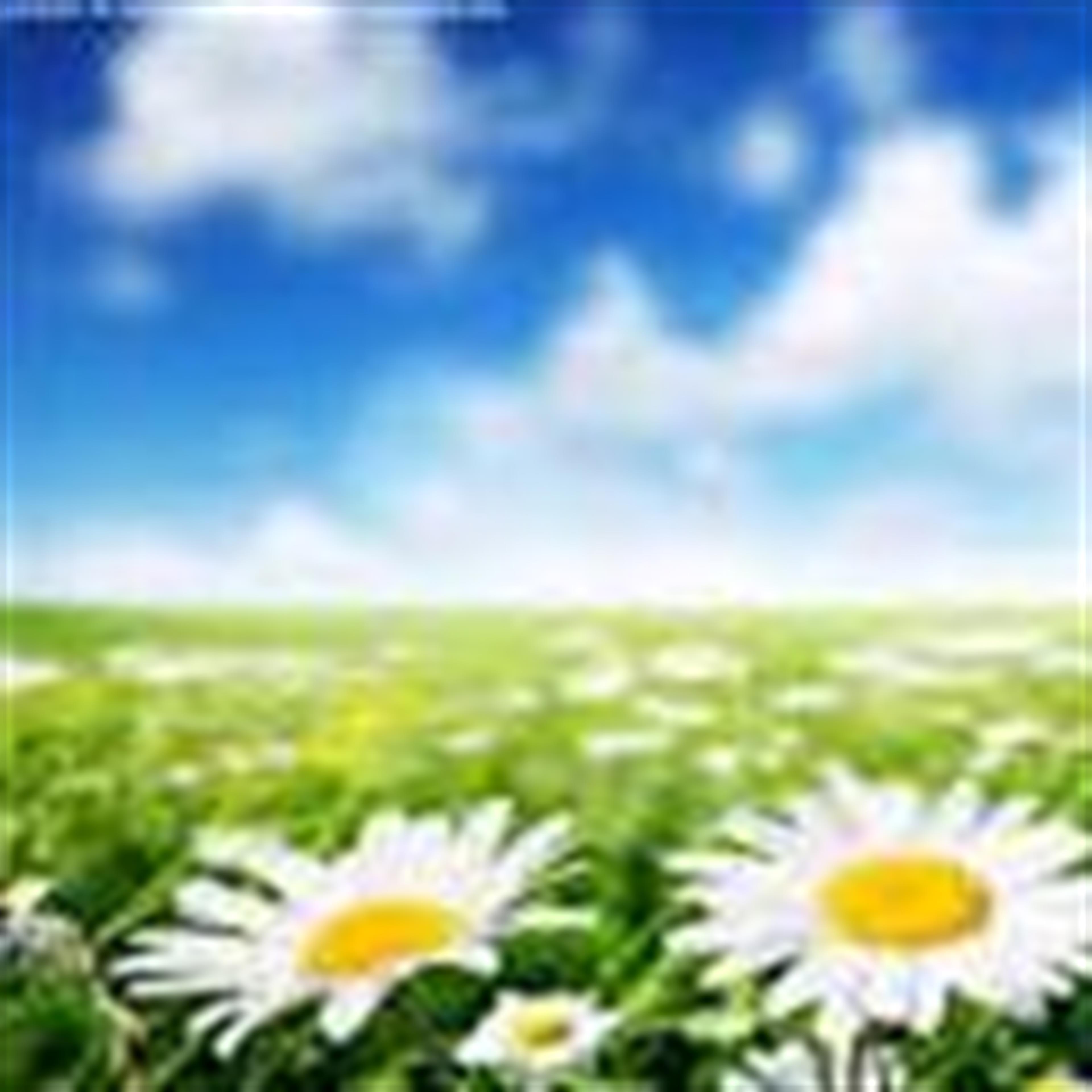 Judith Ann Floyd (Lebanon)'s obituary picture