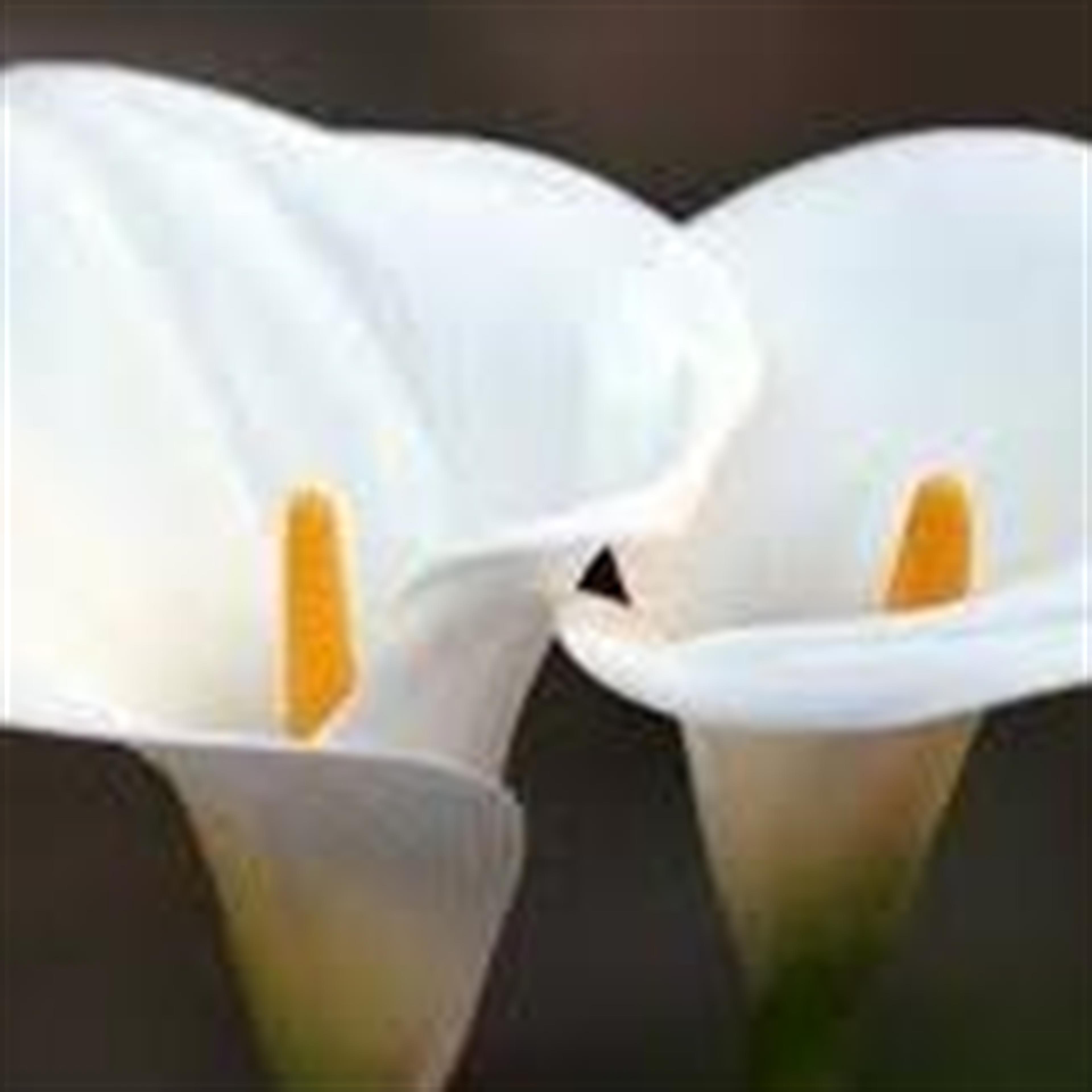 Daniel Thomas Winn's obituary picture