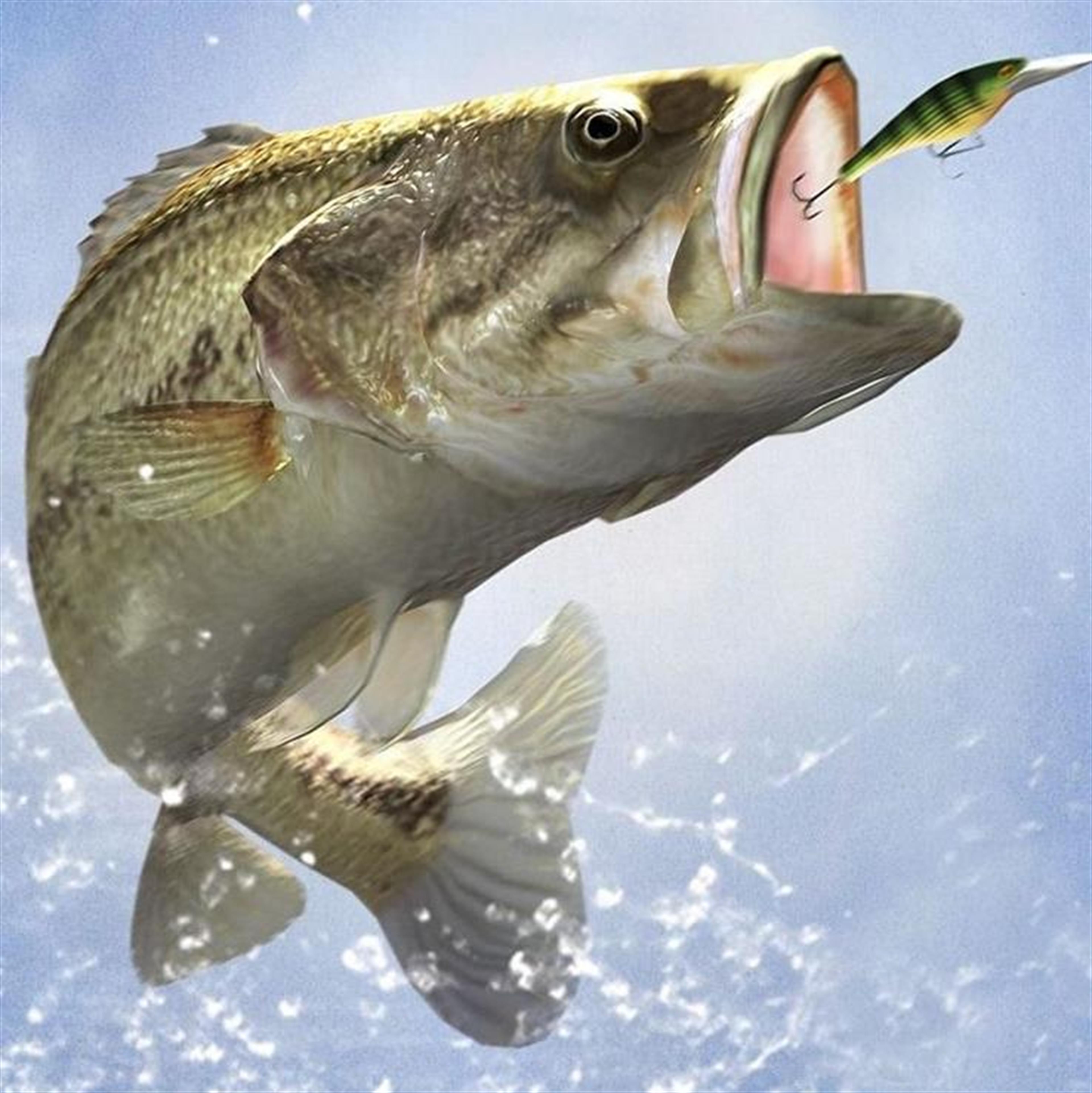 Mr. Charles Edwin Brown