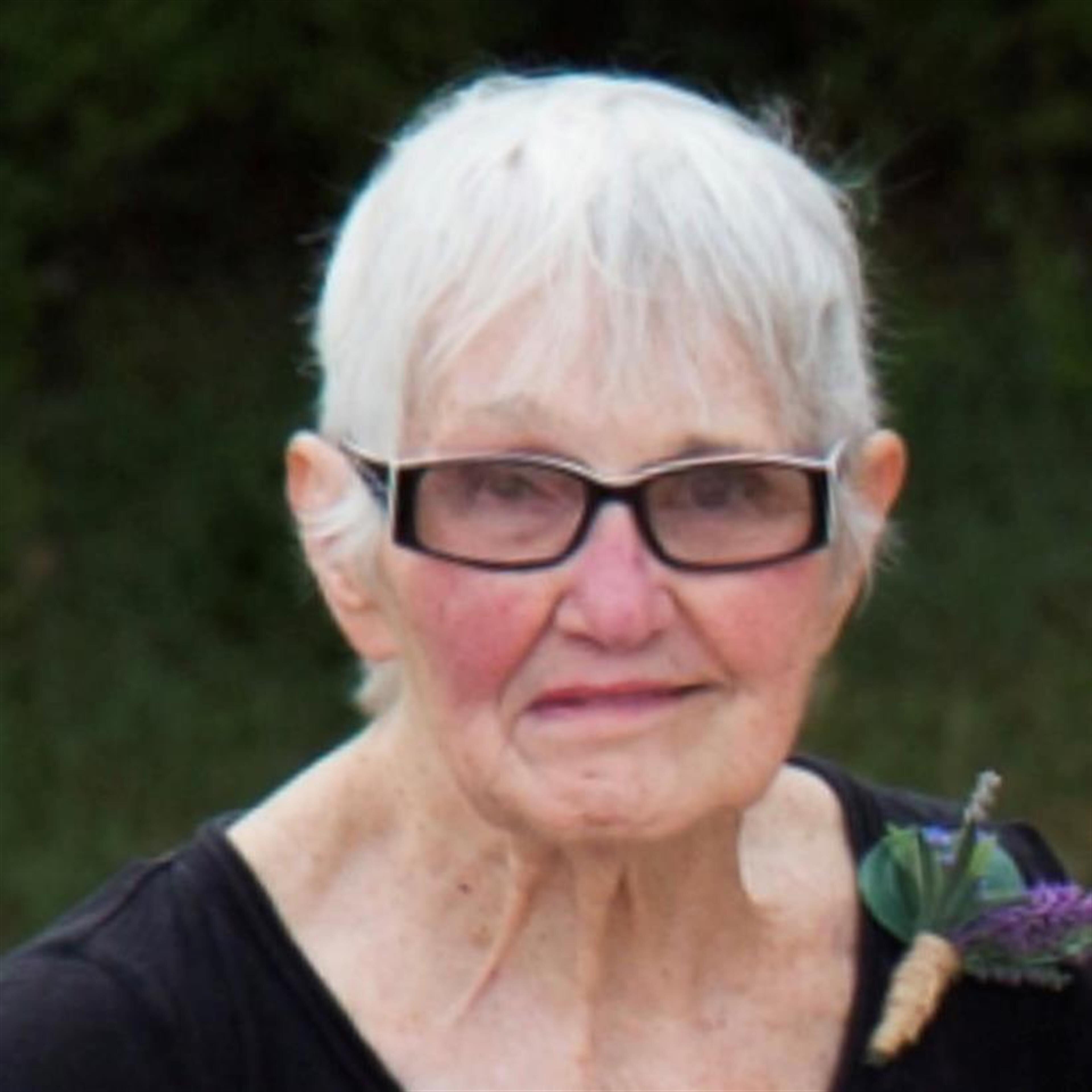 Nancy J Palmer (Seymour)
