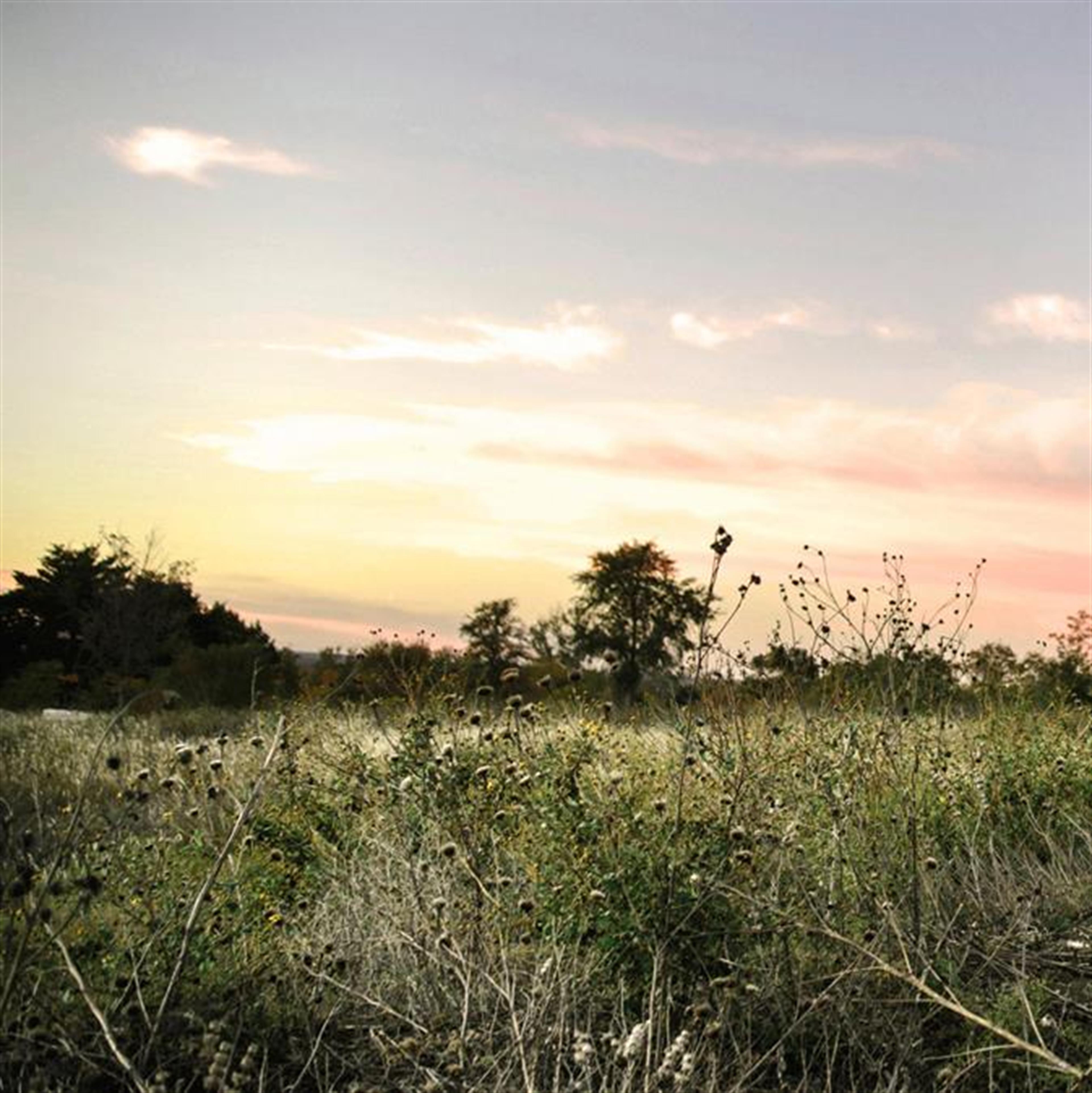 Margaret Ness' obituary picture