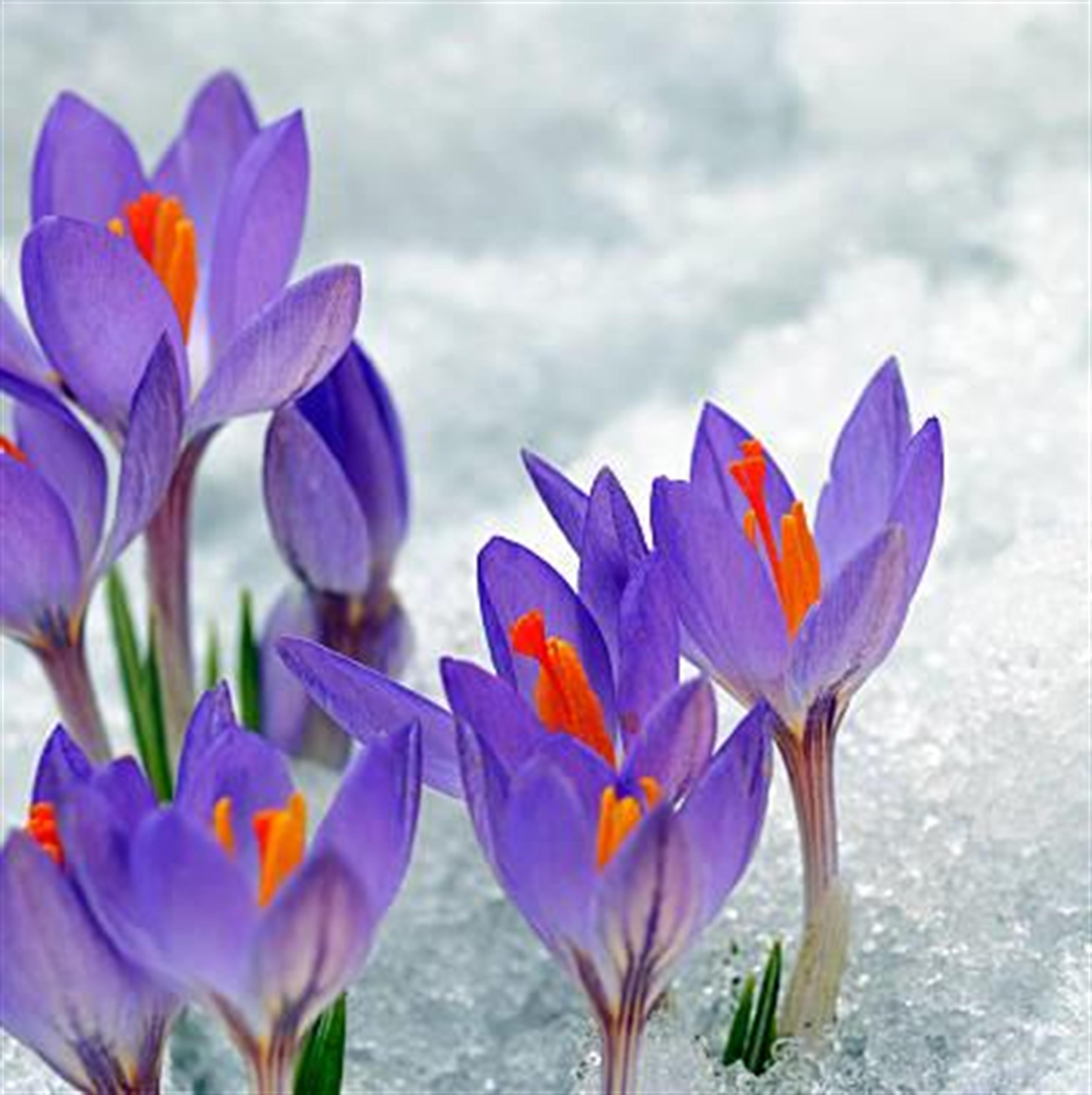 Sandy Cothran's obituary picture