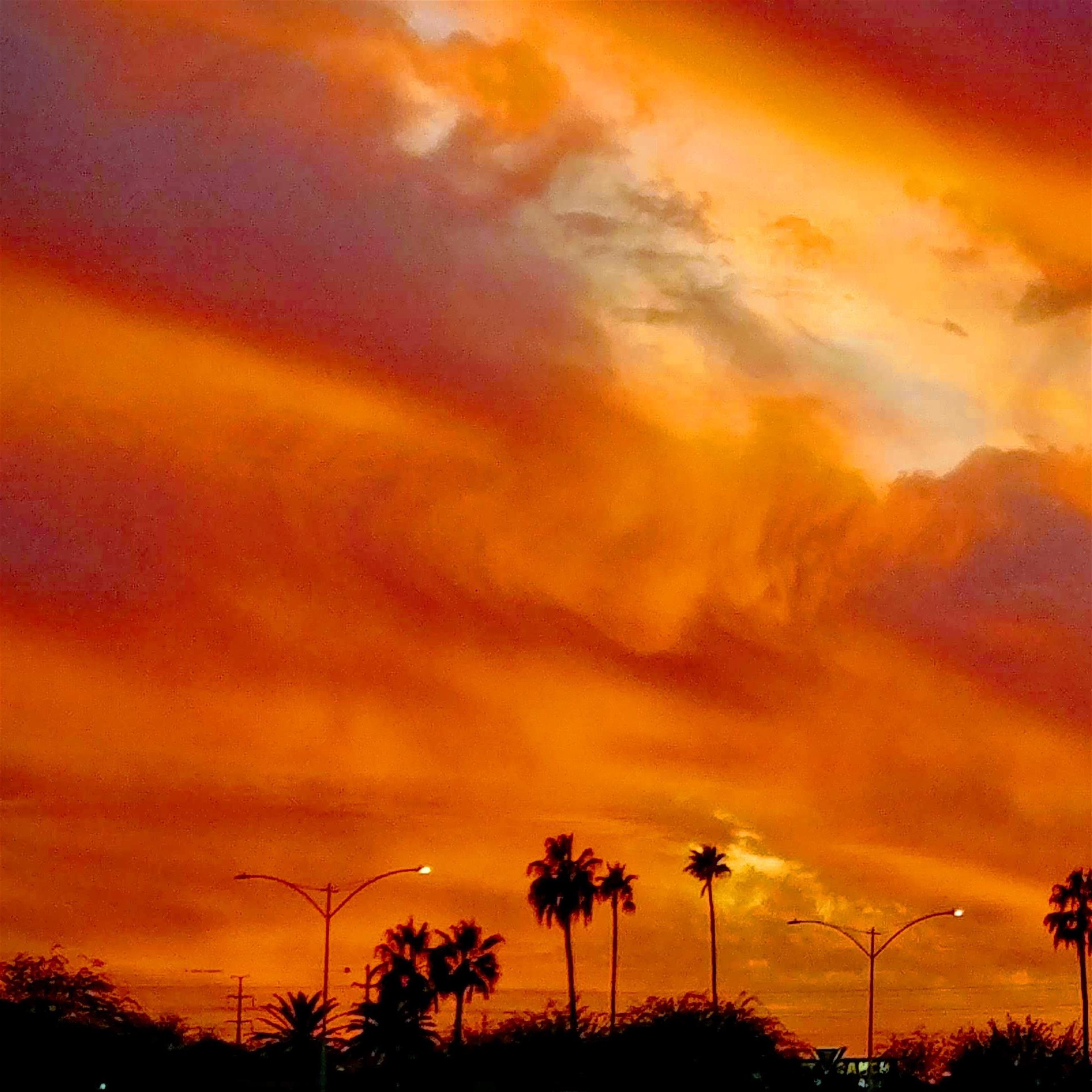 Chalres E Harkins' obituary picture