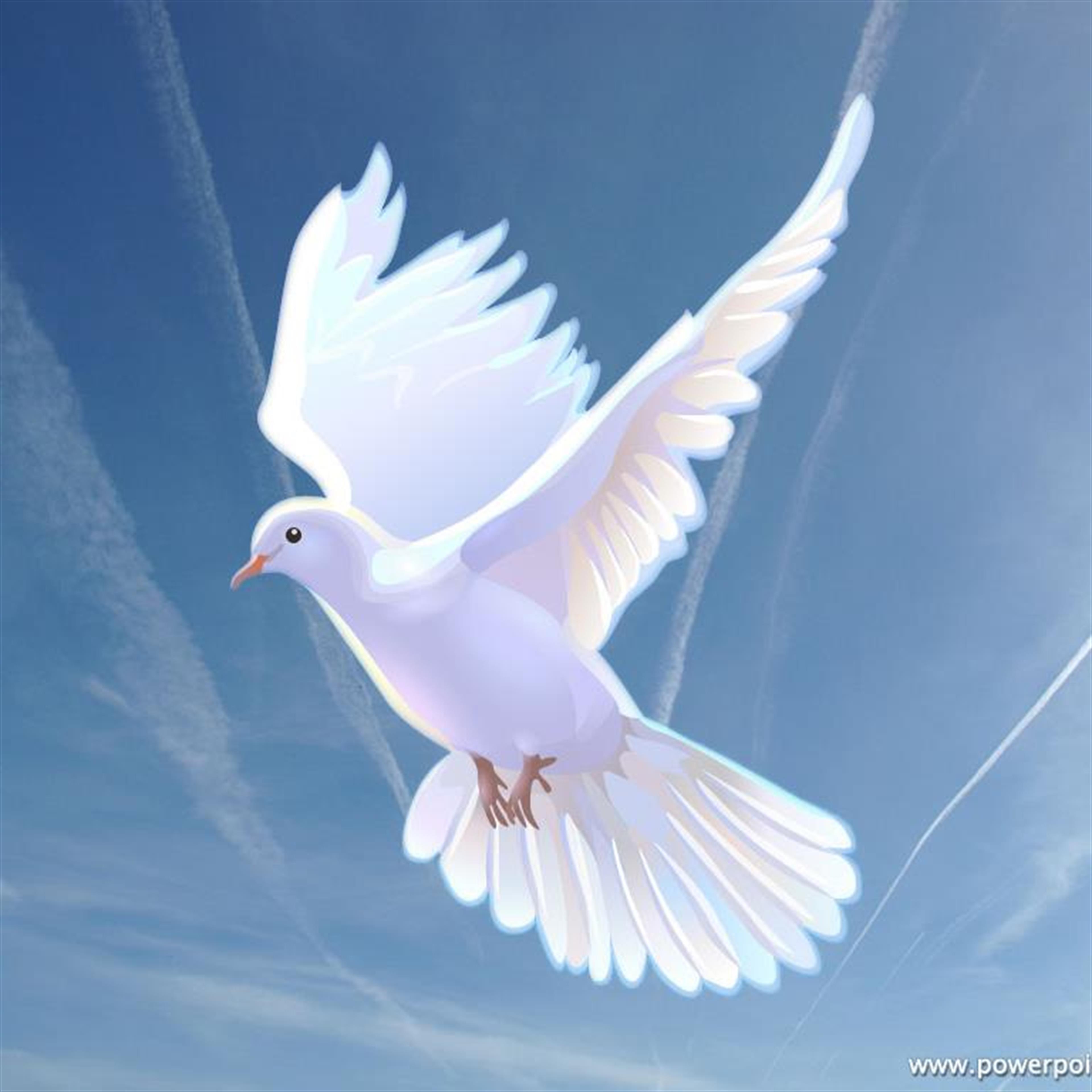 Helen R. Sweeny's obituary picture